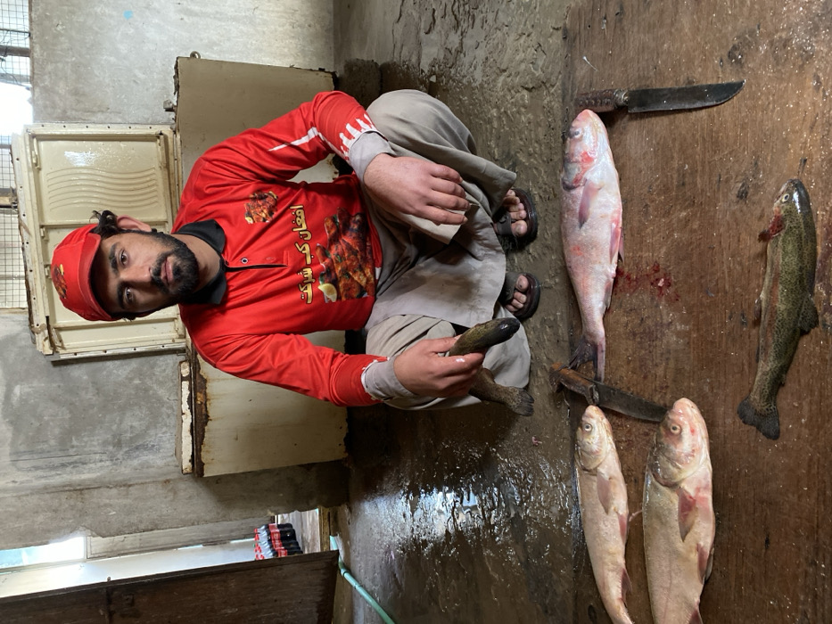 Fish processing operation documented in Deh Sabzi, Afghanistan