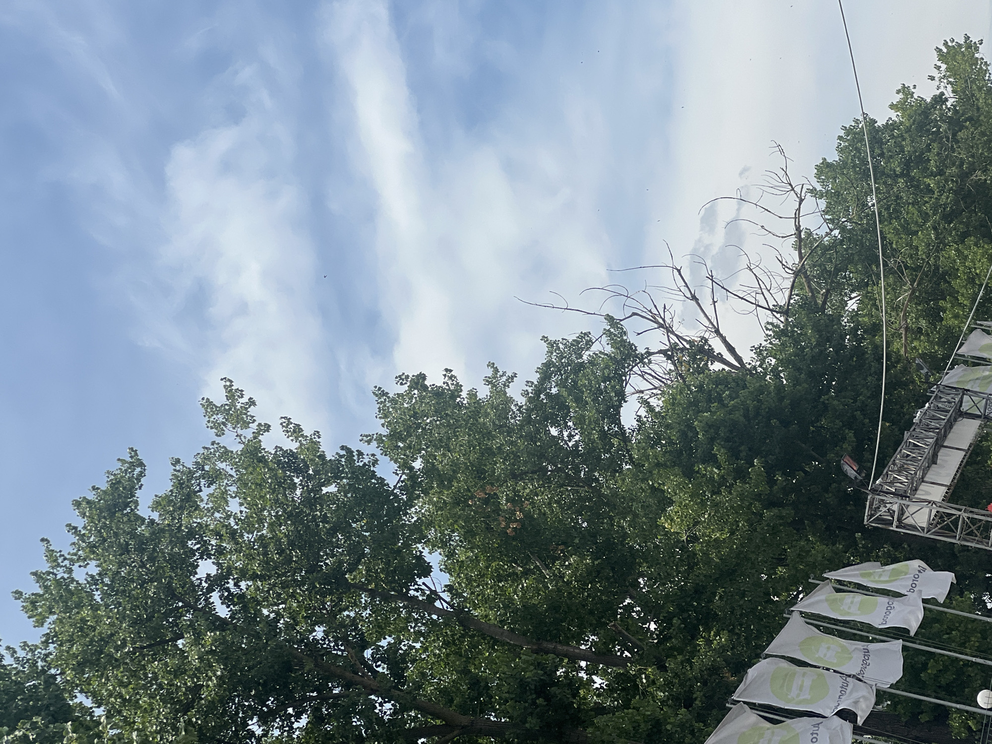Midmorning street-level views from a residential corner in Odesa