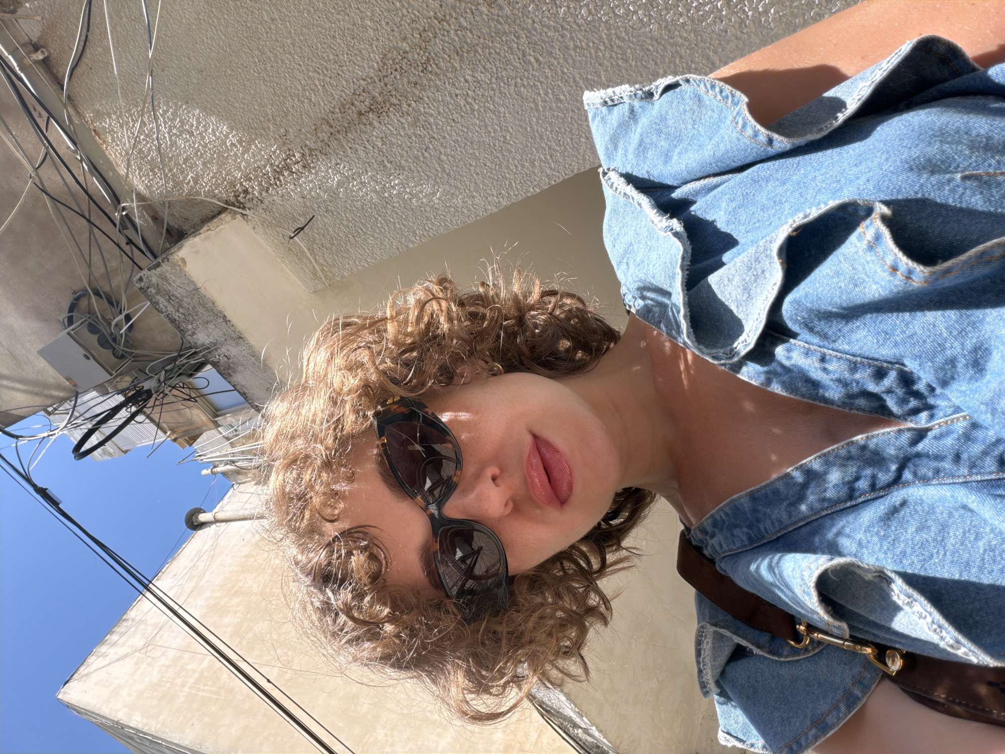 Dogs, brunch, and a Tel Aviv morning in full swing