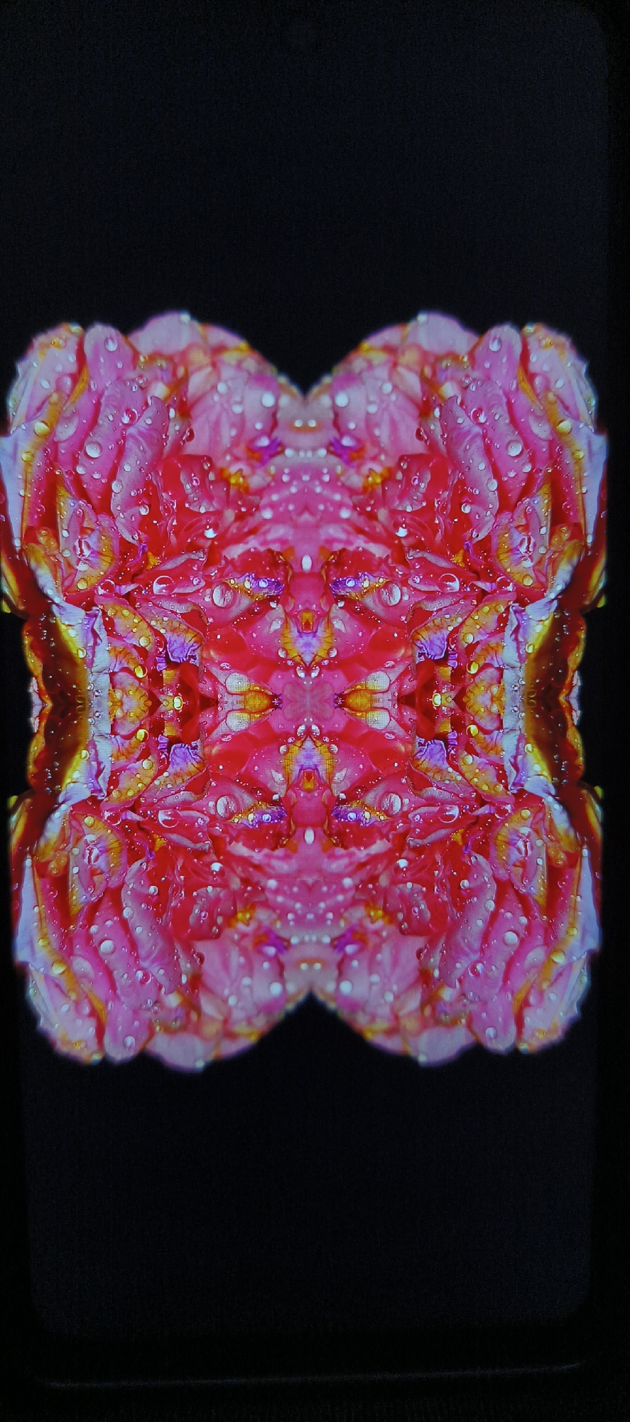Bangkok witness captures artistic mirrored flower photography session
