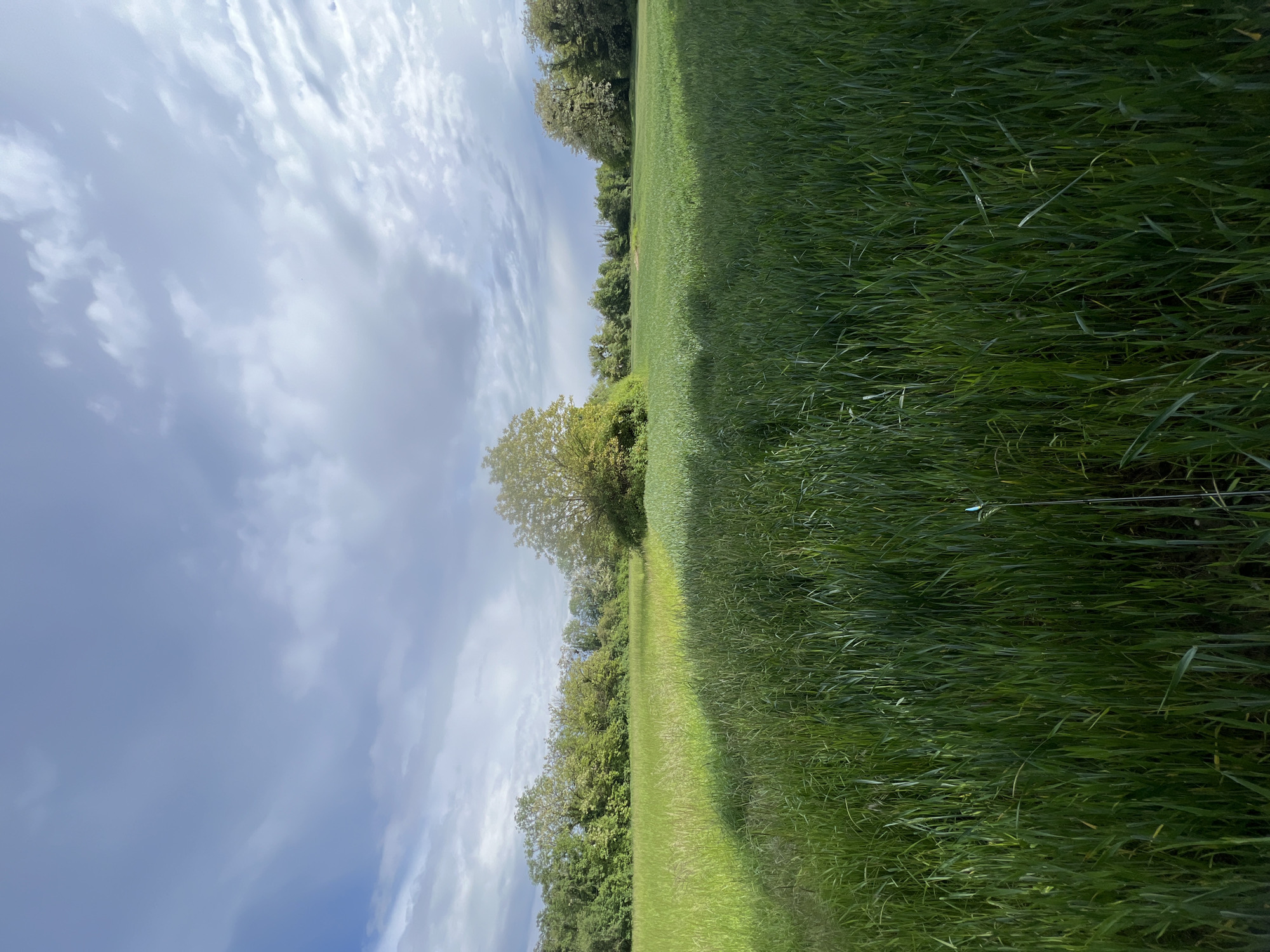 Person fishing in grassy field near Strasbourg