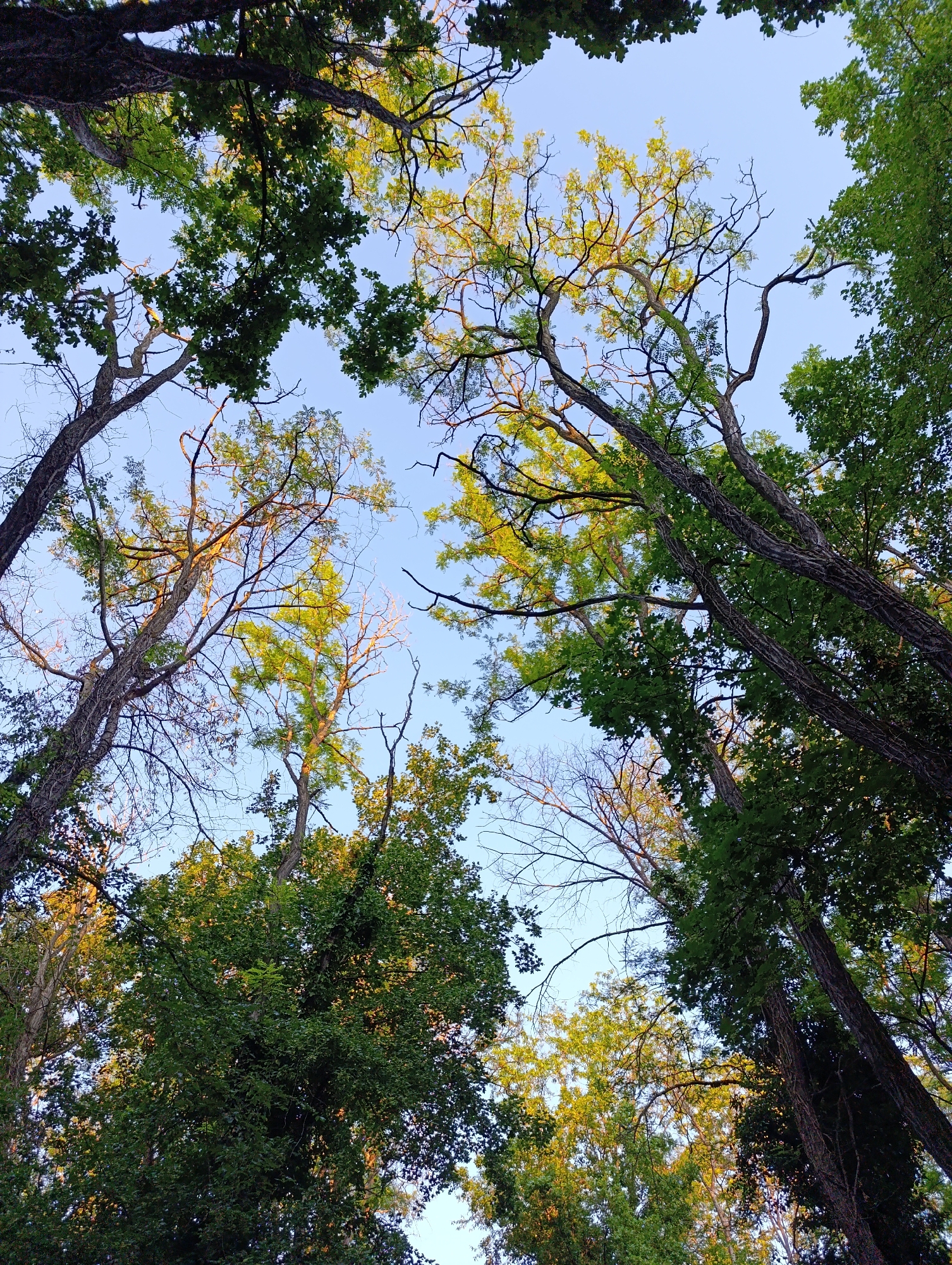 Afternoon stroll through urban park and zoo areas