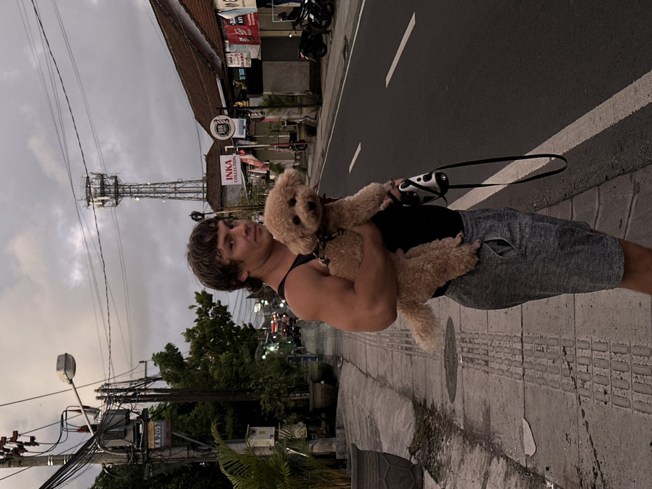 Man walks dogs during sunset in Dalung, Indonesia