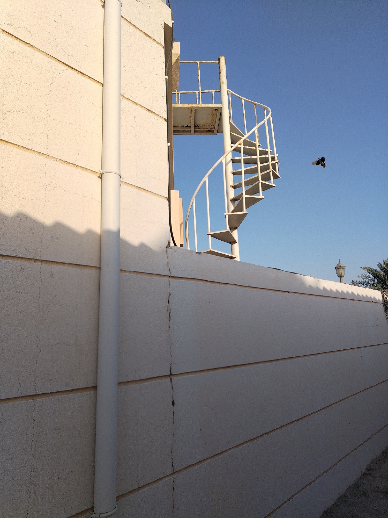 Quiet afternoon moments documented in Al Mas'oudi neighborhood