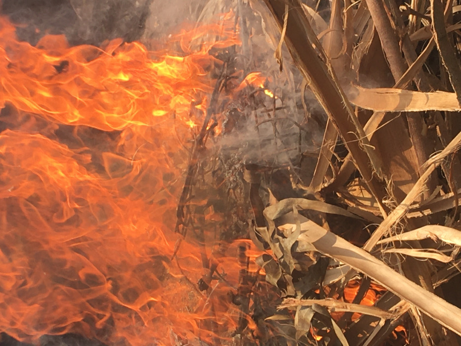 Small farm operations documented in rural Ndeiya, Kenya