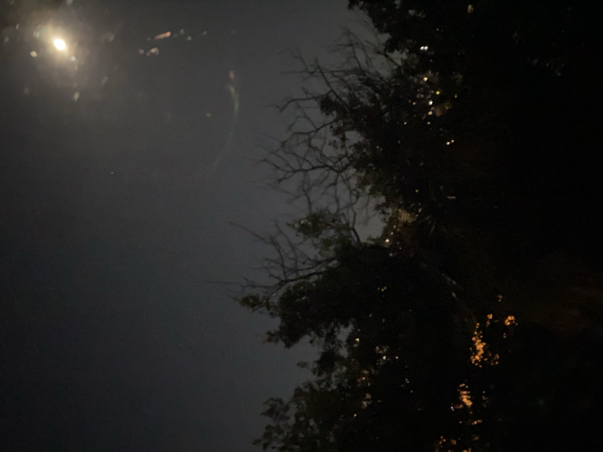 Night scene with bright moon and silhouetted trees in Sochi