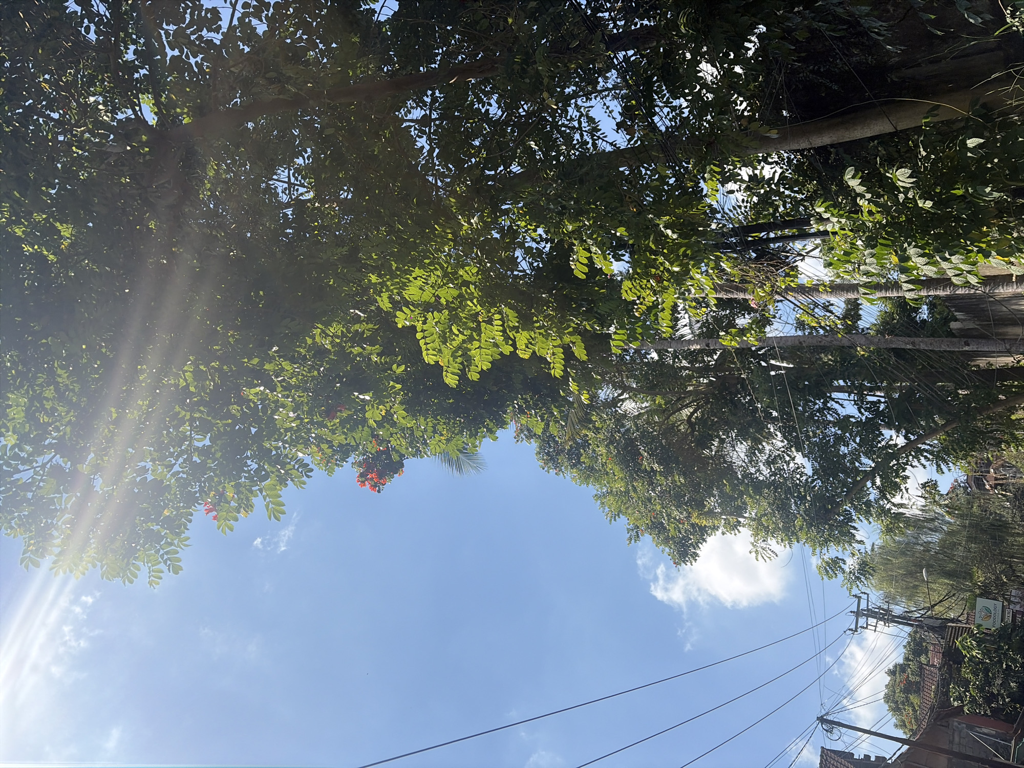 Ubud District, Indonesia