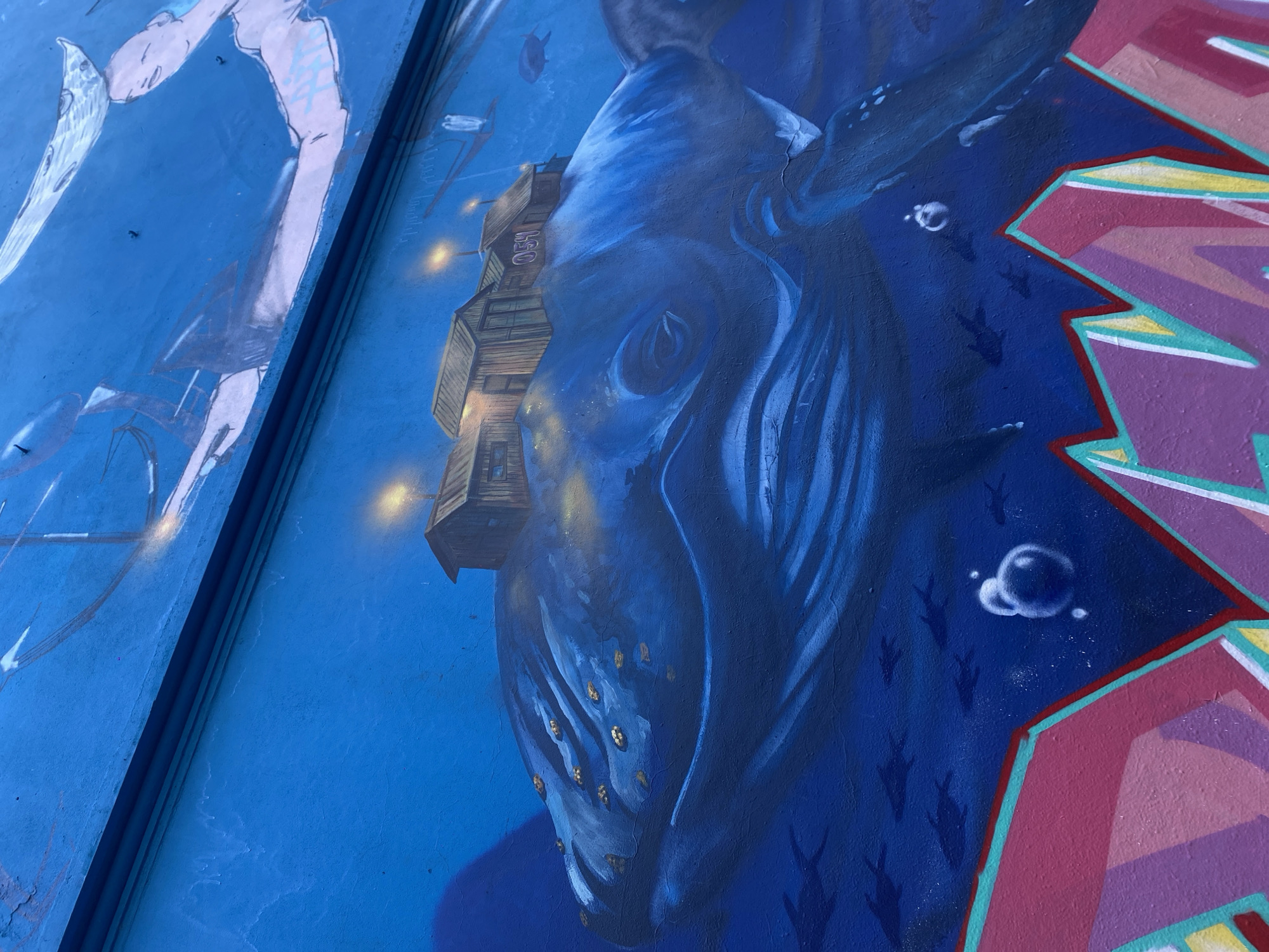 Street art murals and installations documented in Buenos Aires