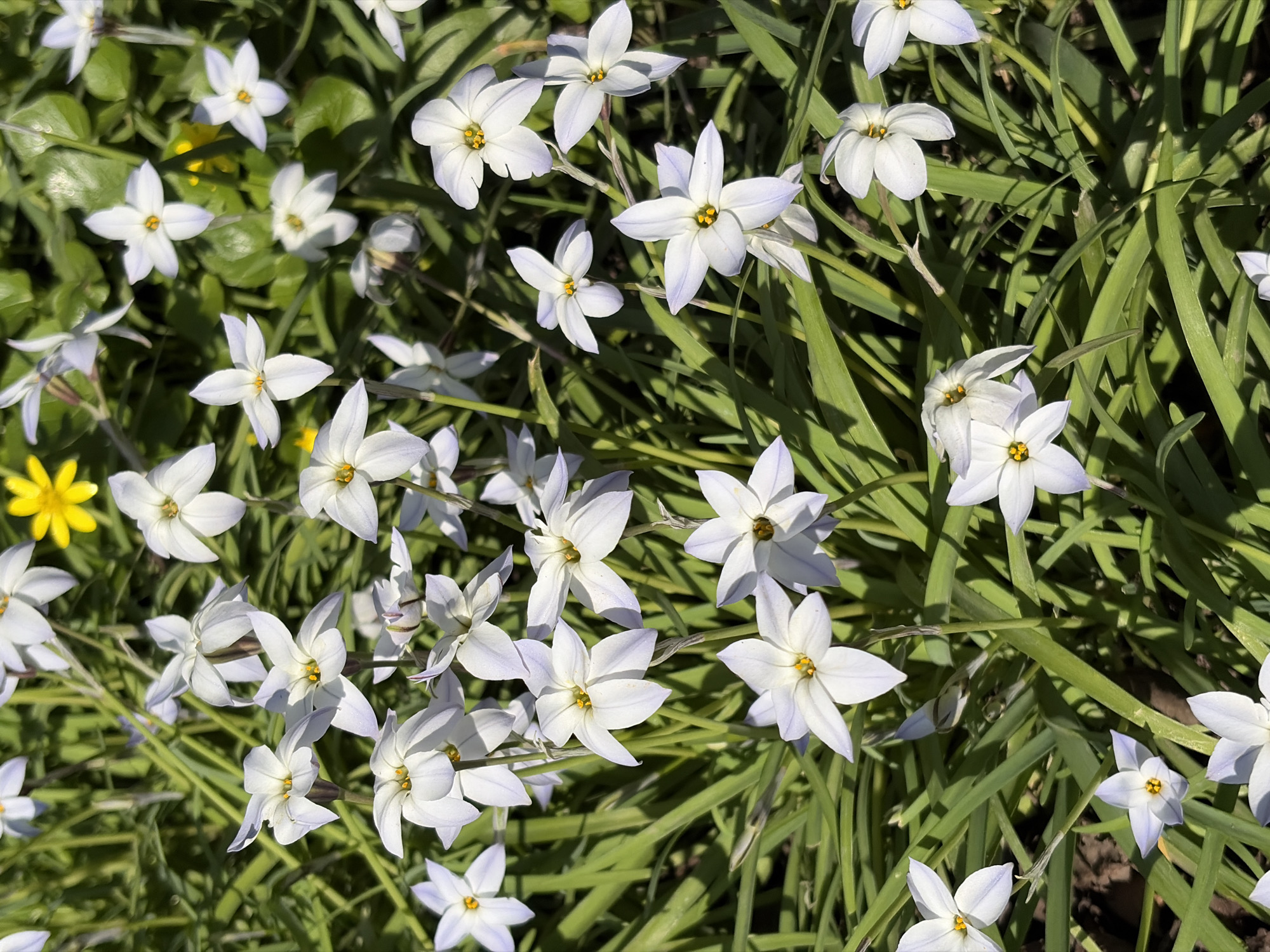 Spring day documented through flowers, architecture, and portraits in Krasnodar