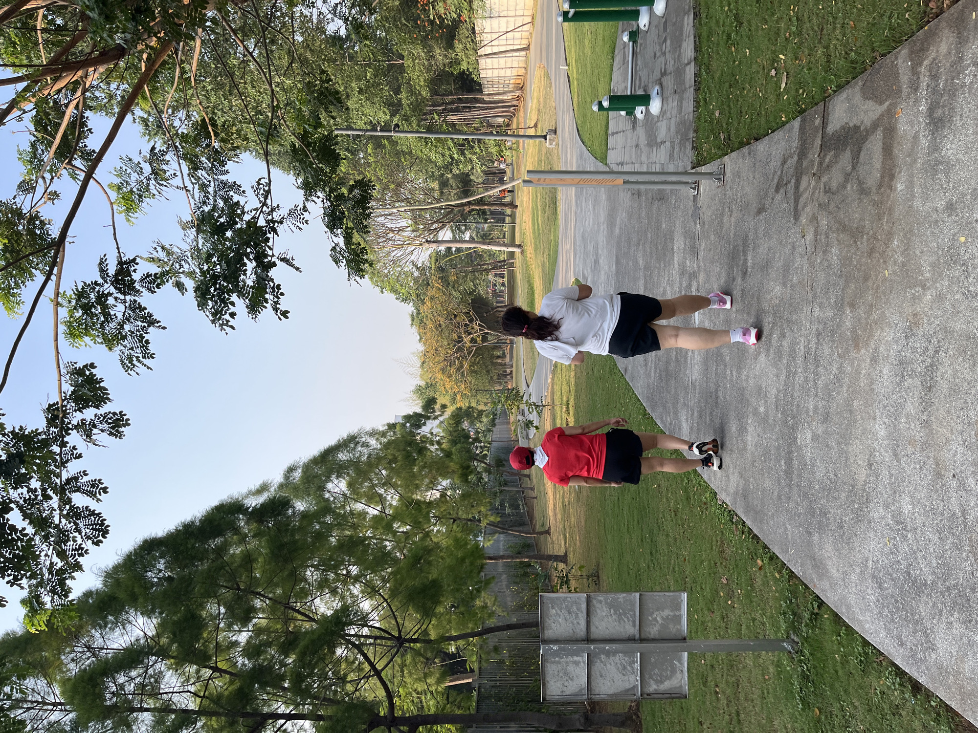 Quiet afternoon activity across a urban park's winding paths