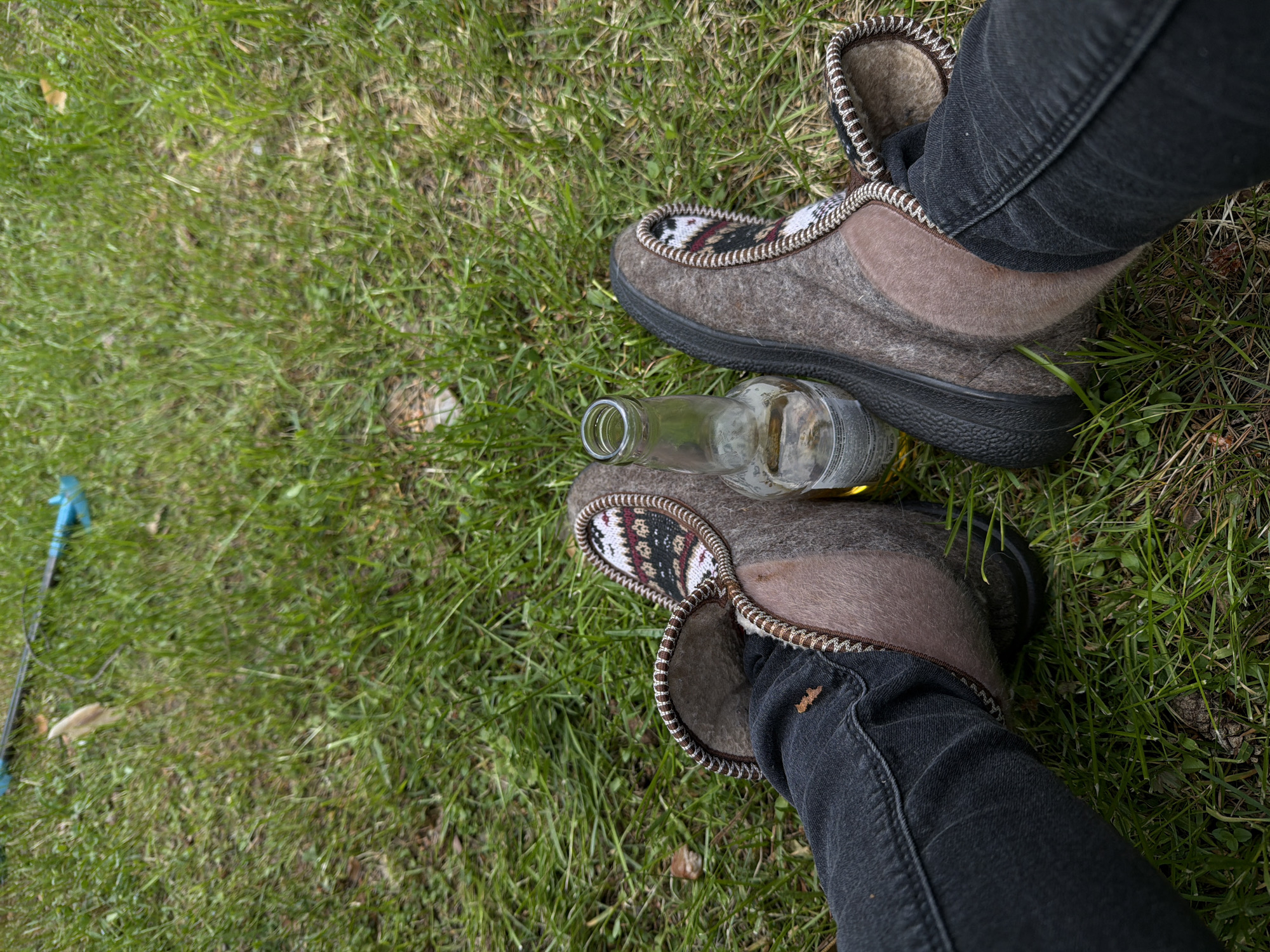 Backyard gathering documented in suburban Russia with wildlife encounters