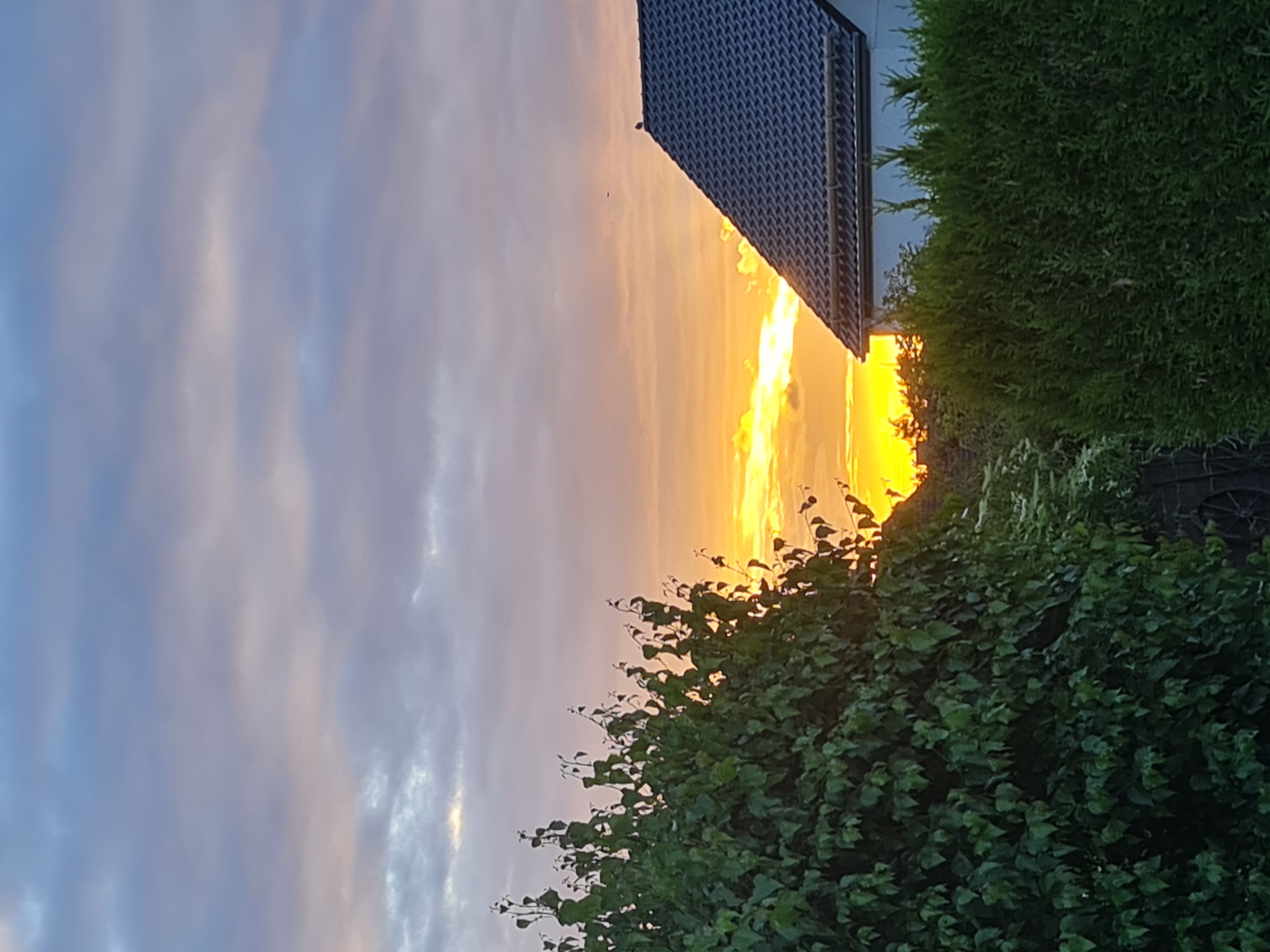 Sunset and charcuterie evening in Barsinghausen