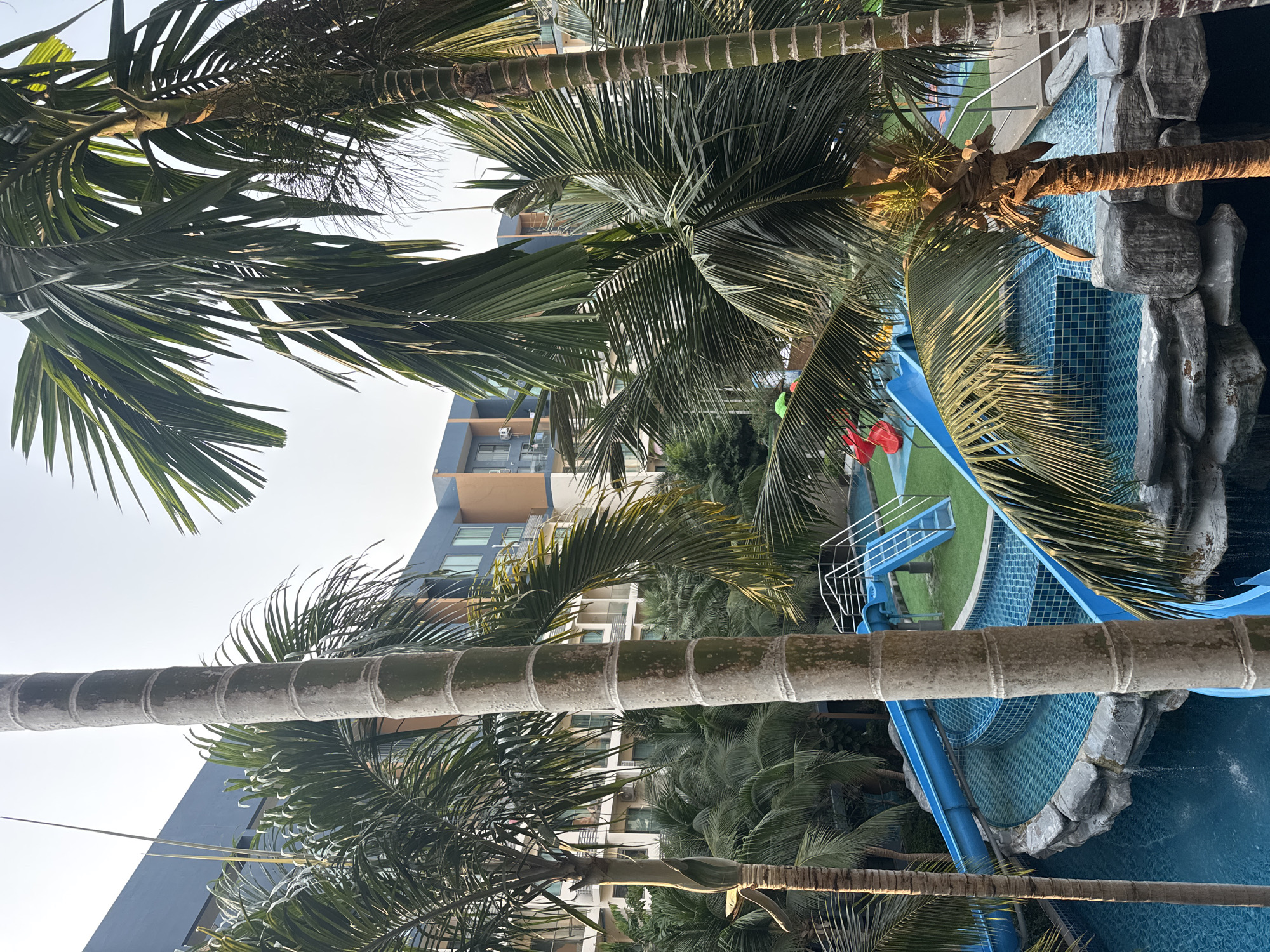 Tourist documents tropical resort scenes in Pattaya Thailand