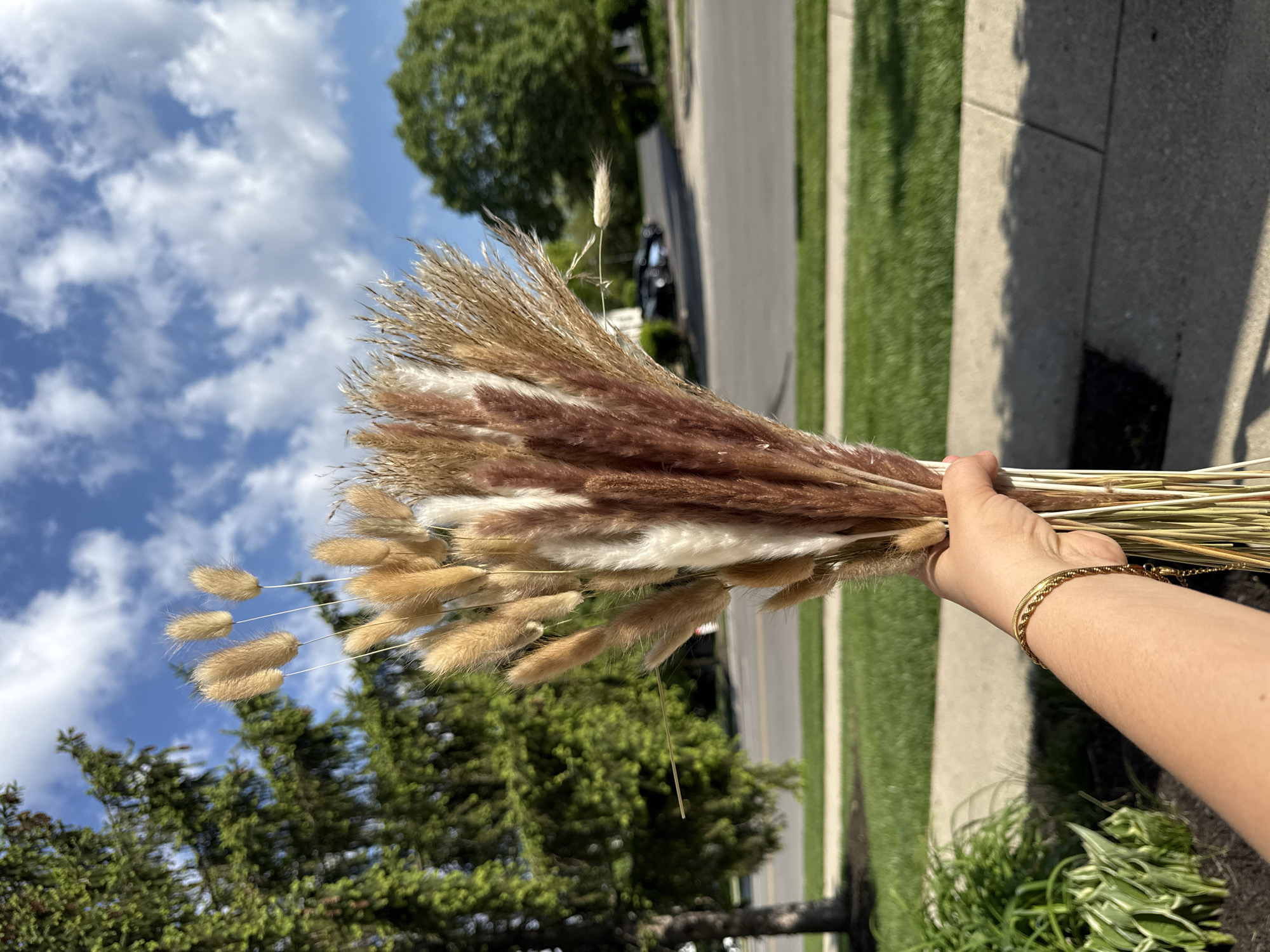 Person arranges dried ornamental grasses outdoors in Columbus