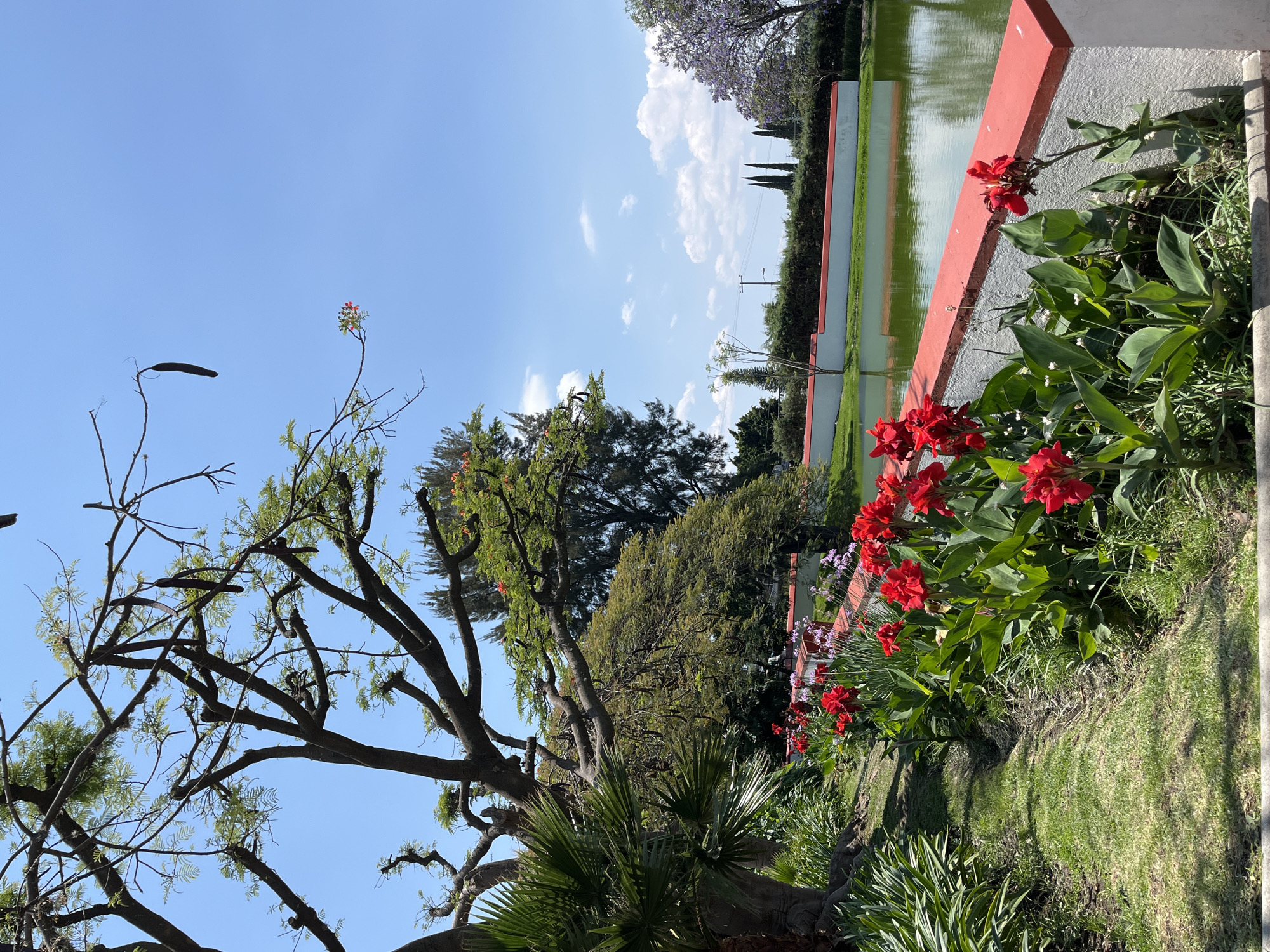 Garden and golf cart area documented in Atlixco