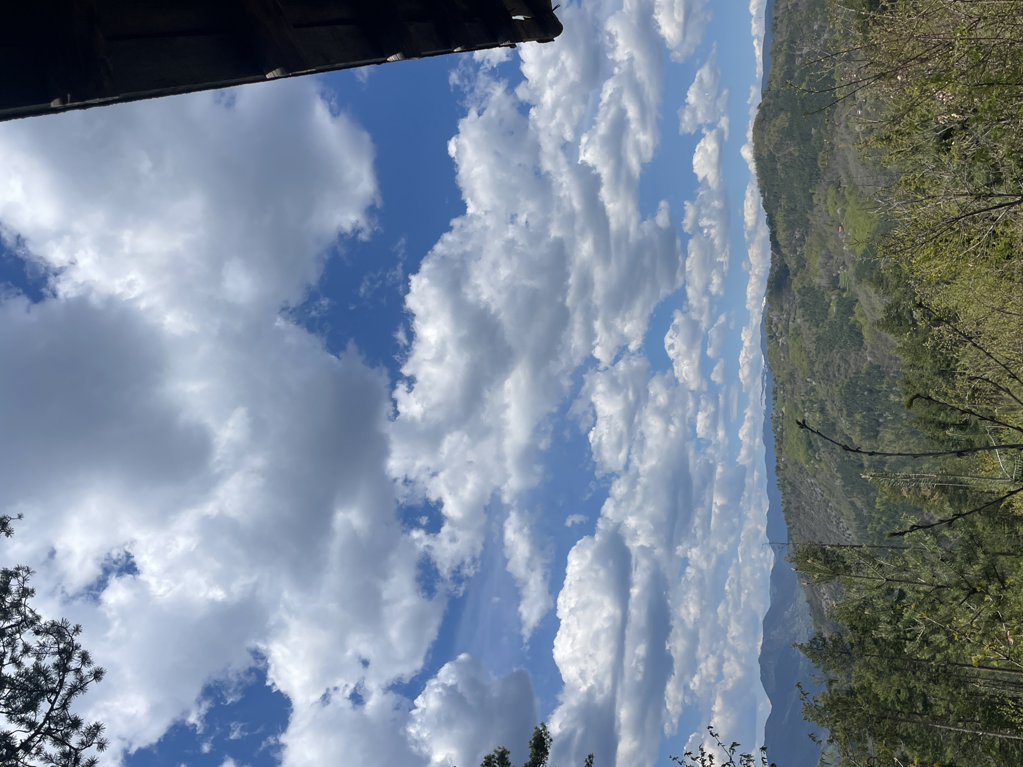 Morning hike documented through Bulgarian mountain forests and scenic overlooks