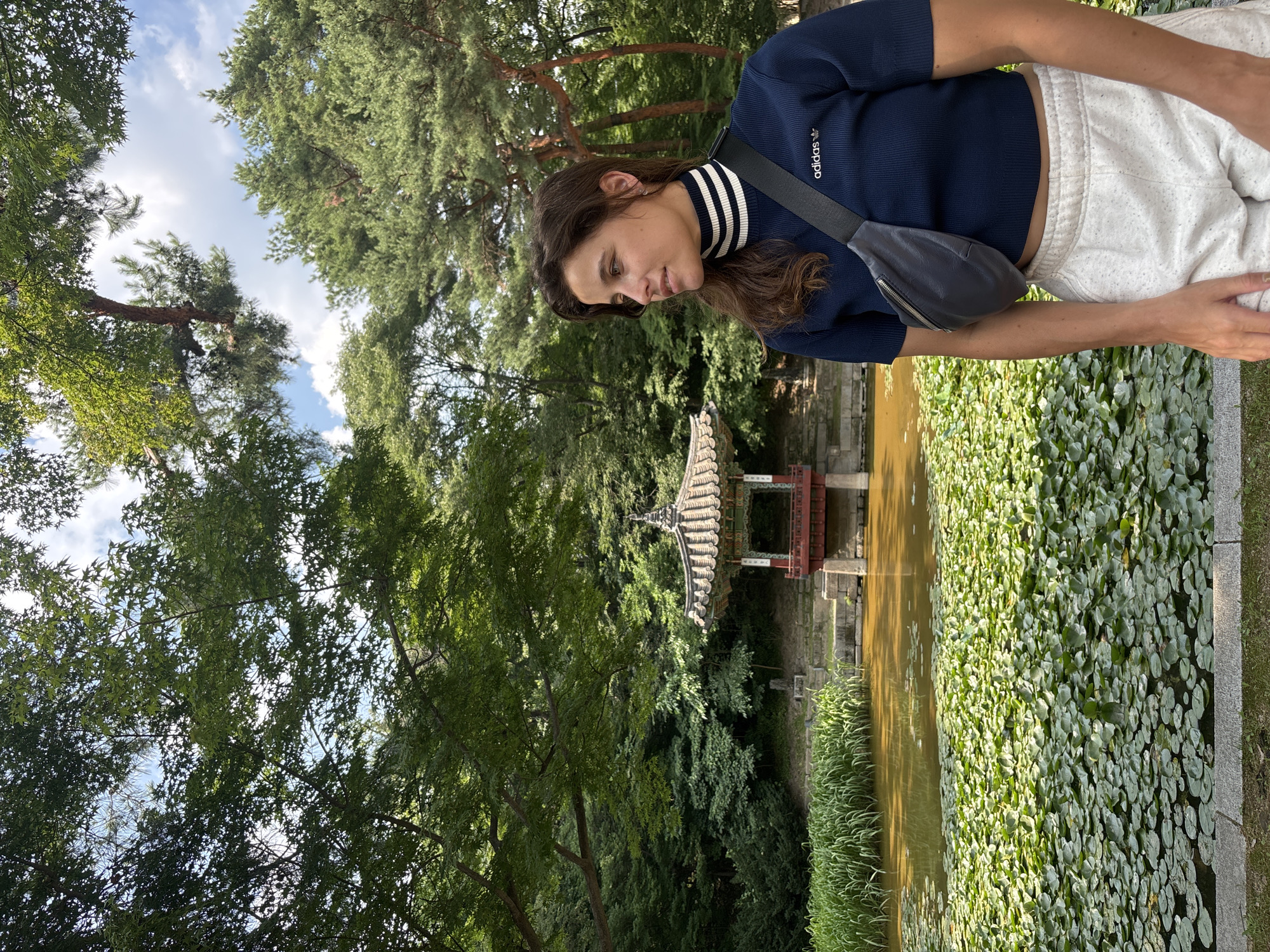 Morning walk through Changdeokgung Palace's Secret Garden, Seoul