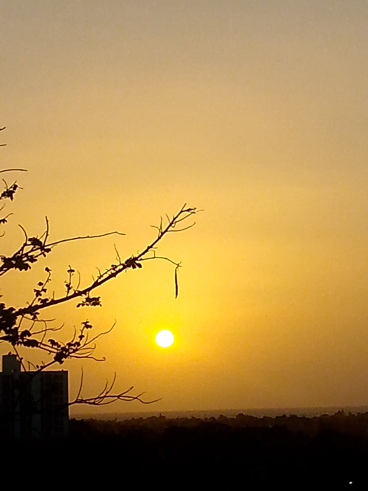 Evening scenes captured across Juan Griego, Venezuela in five minutes