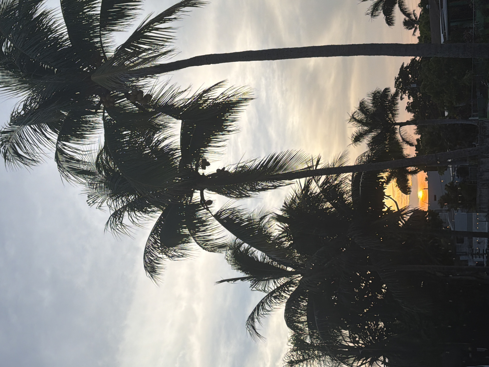 Sunset stroll along Miami's rocky waterfront edge