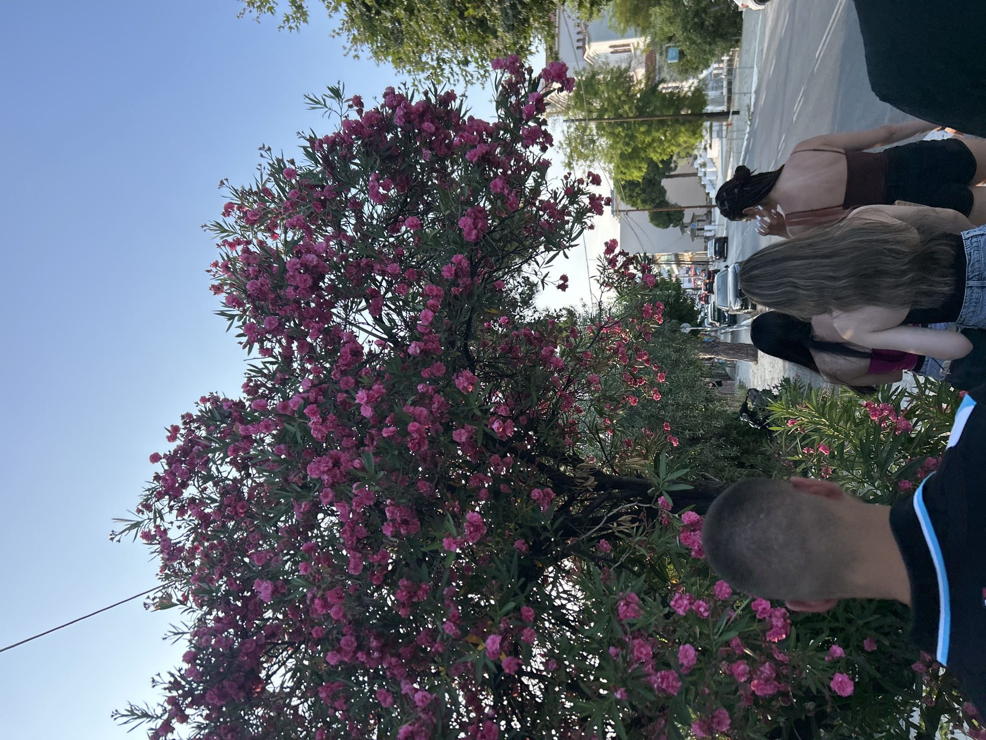 Afternoon in a Greek village: churches, shrines, and quiet roads