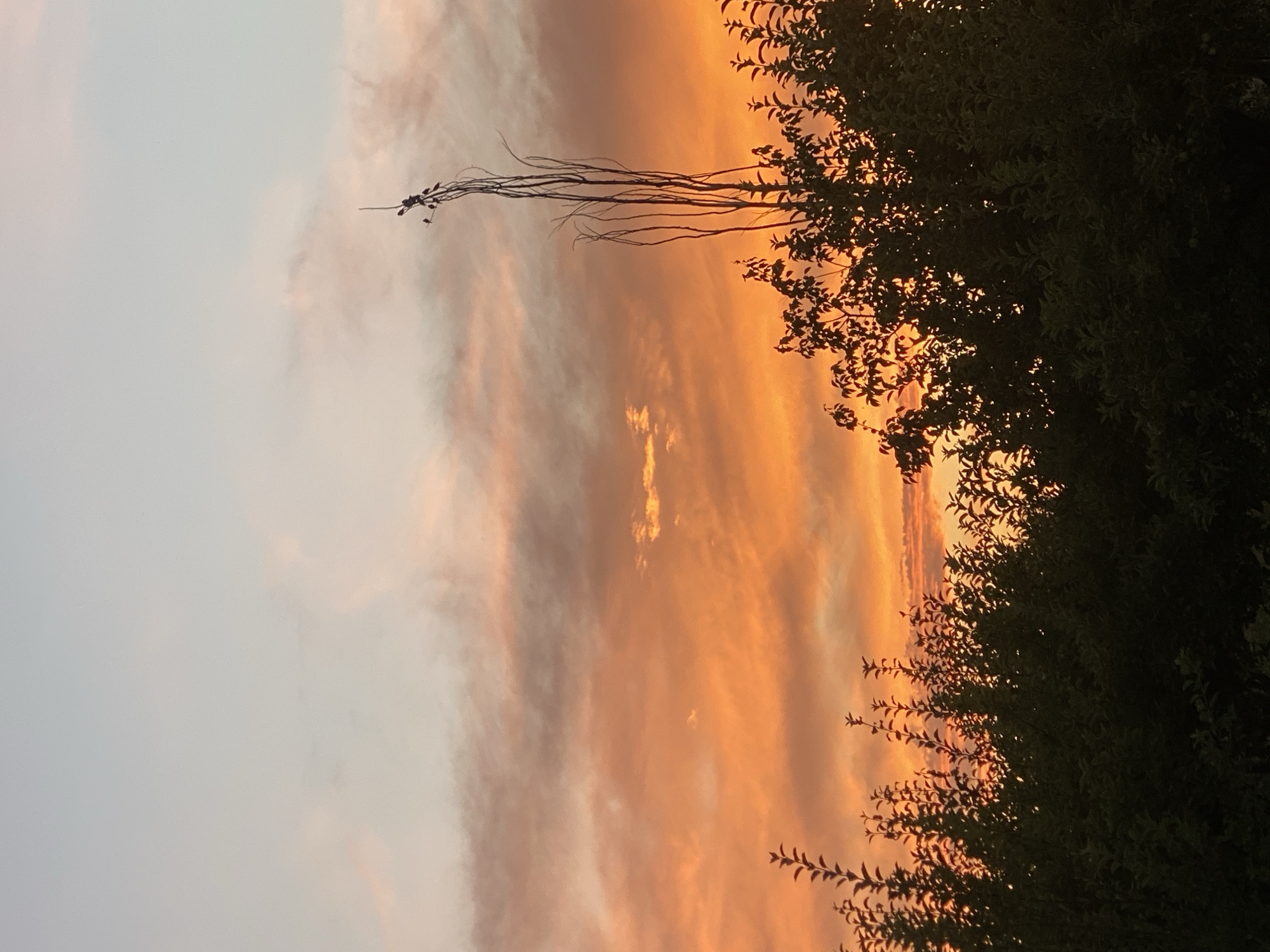 Sunset sky over Barbulak's open landscape, Kyrgyzstan