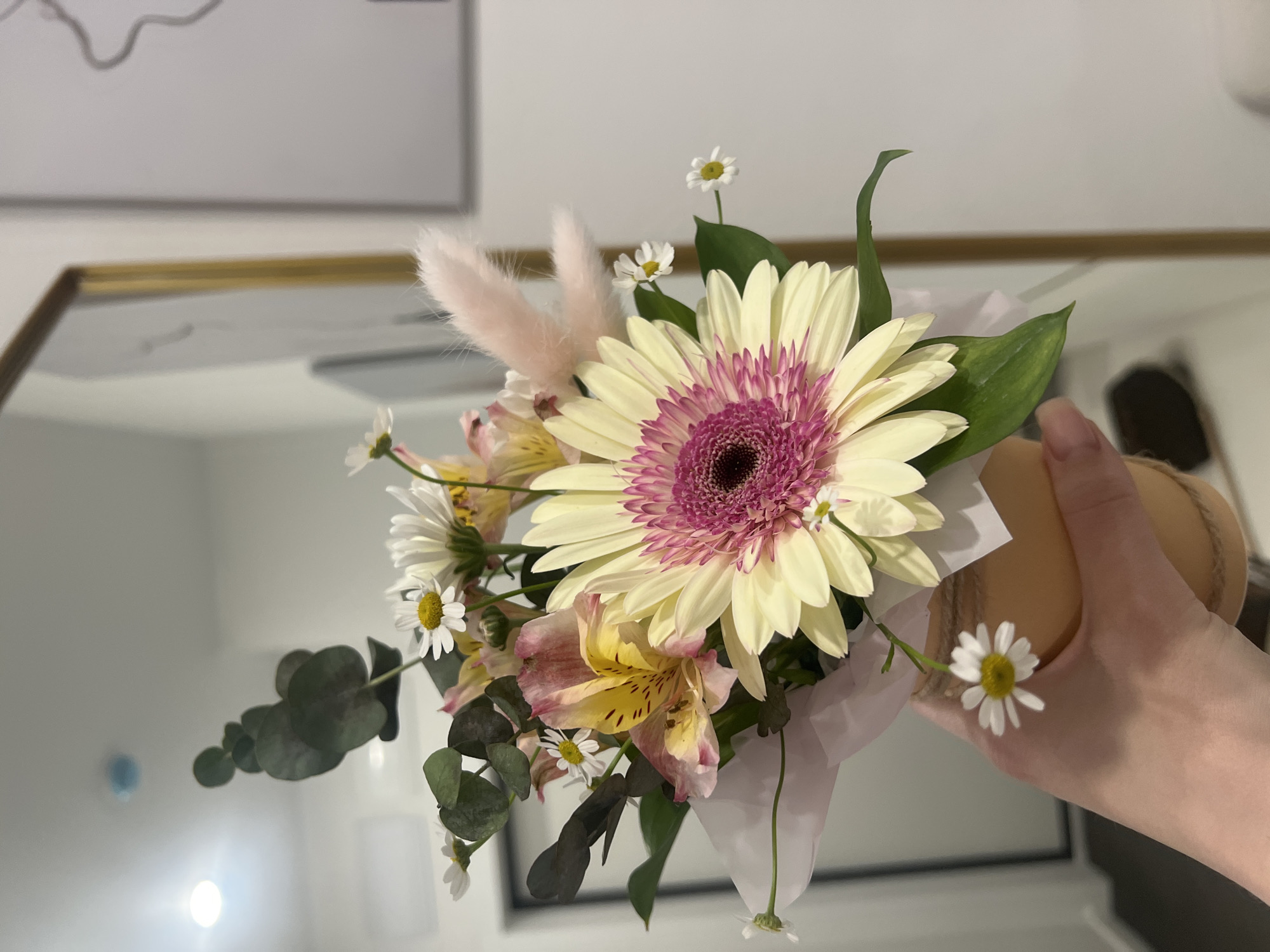 Indoor flower arrangement with cat documented in Tyumen, Russia