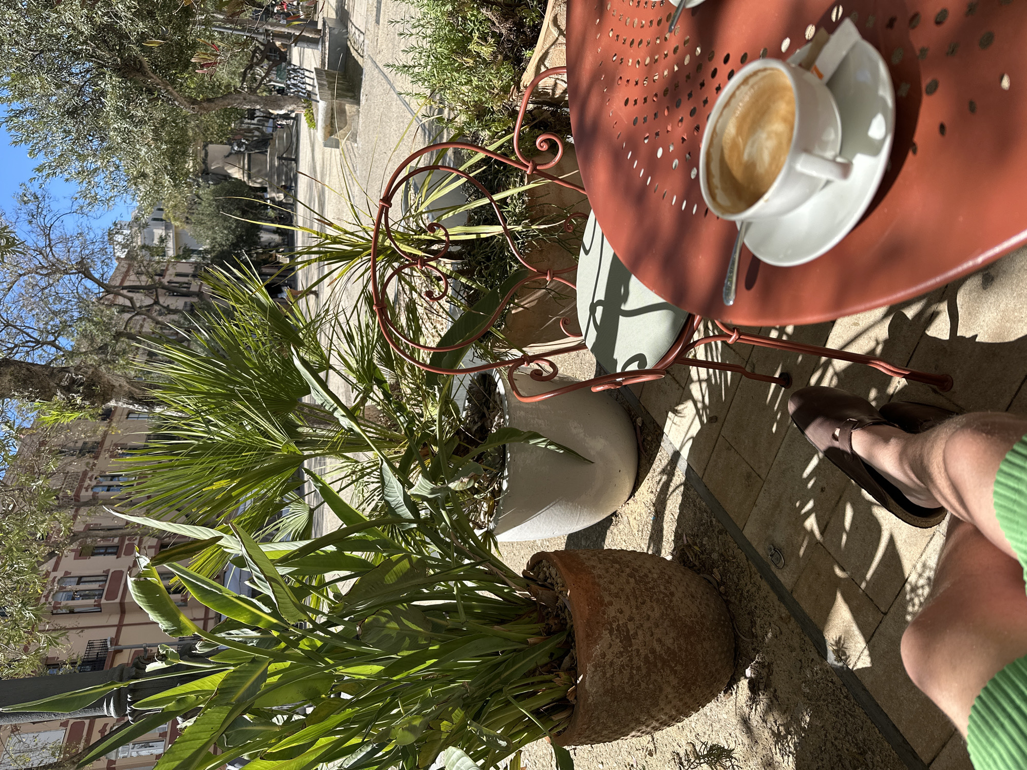 Morning breakfast and marina views captured in Ibiza