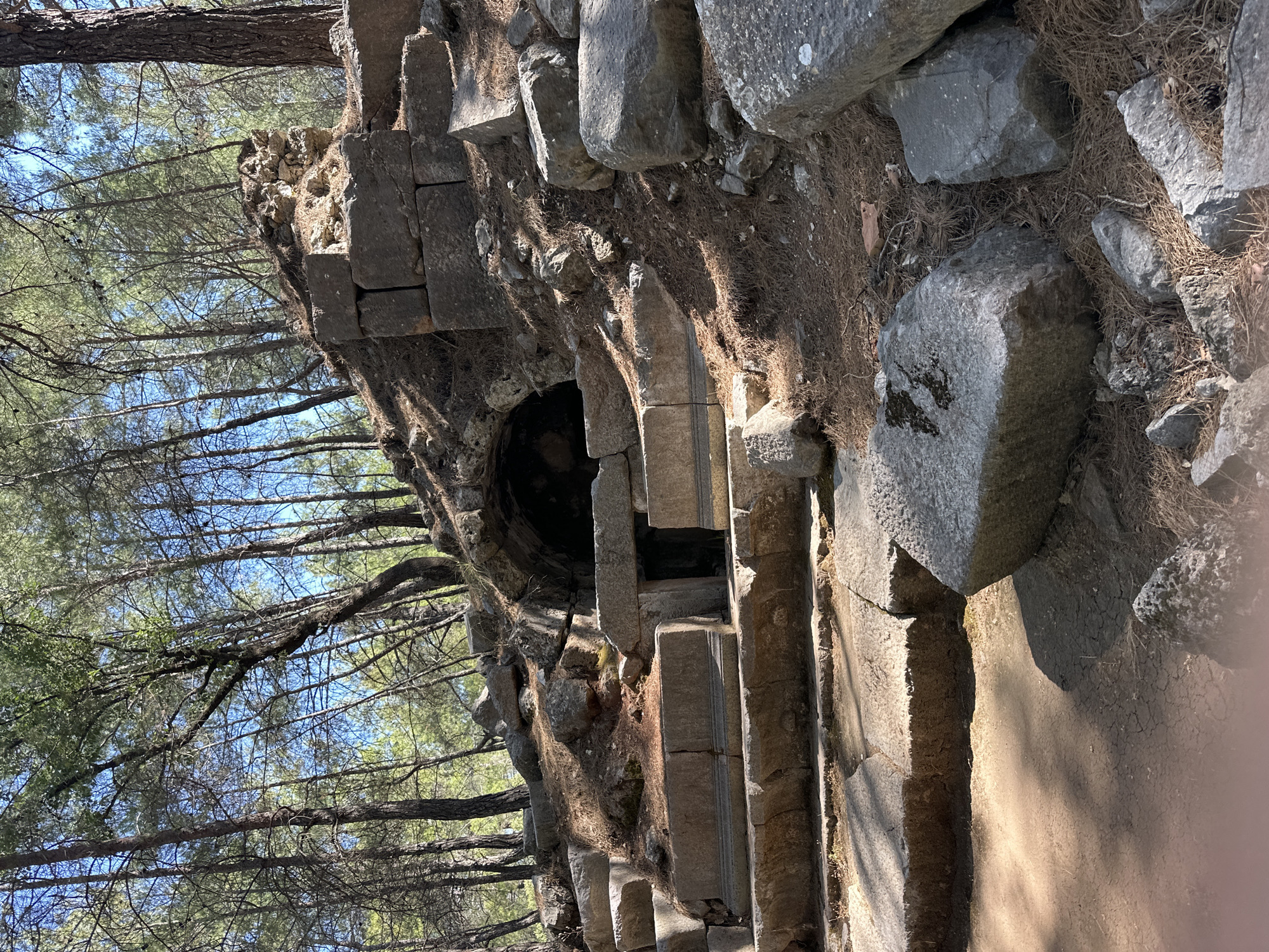 Exploring ancient stone ruins in Fethiye's pine forests