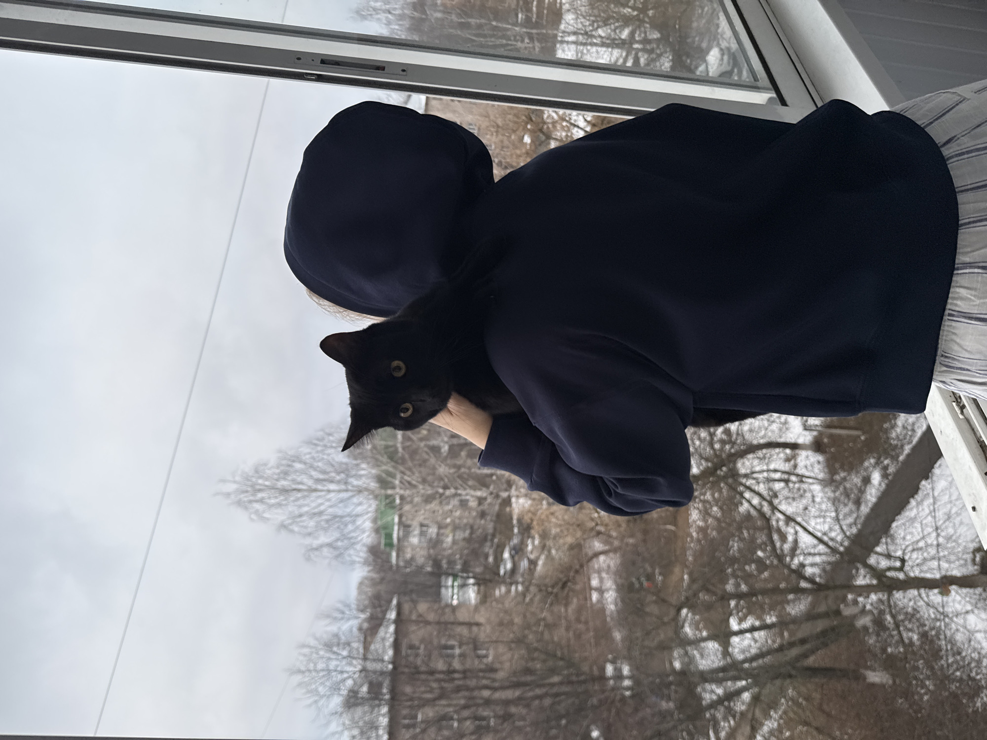 Domestic moments captured in Chaikovsky apartment featuring cat, residents