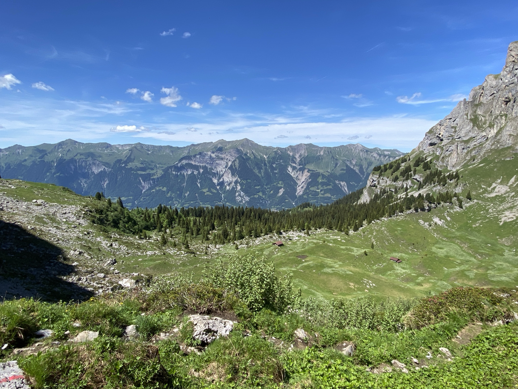 Alpine hiking adventure above Brienz with panoramic Swiss valley views