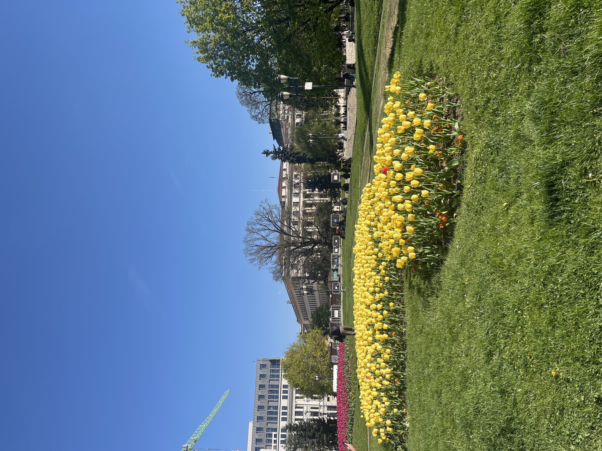Spring afternoon documented across Sofia parks, cafes, and streets