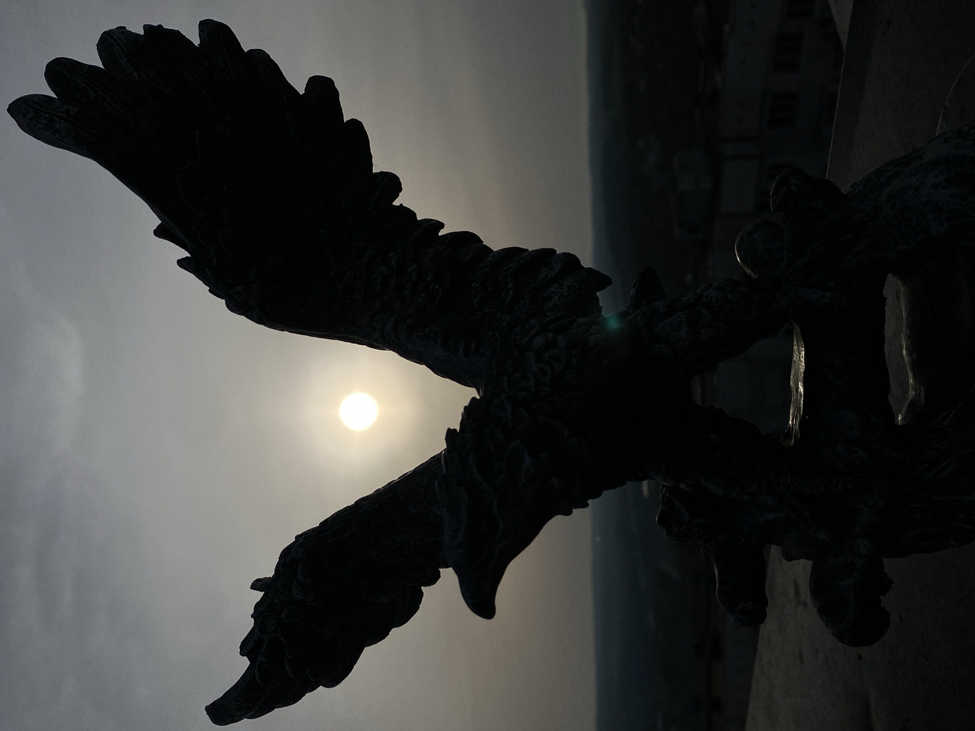 Dawn photography captures monument and rooftop selfie in Pleven