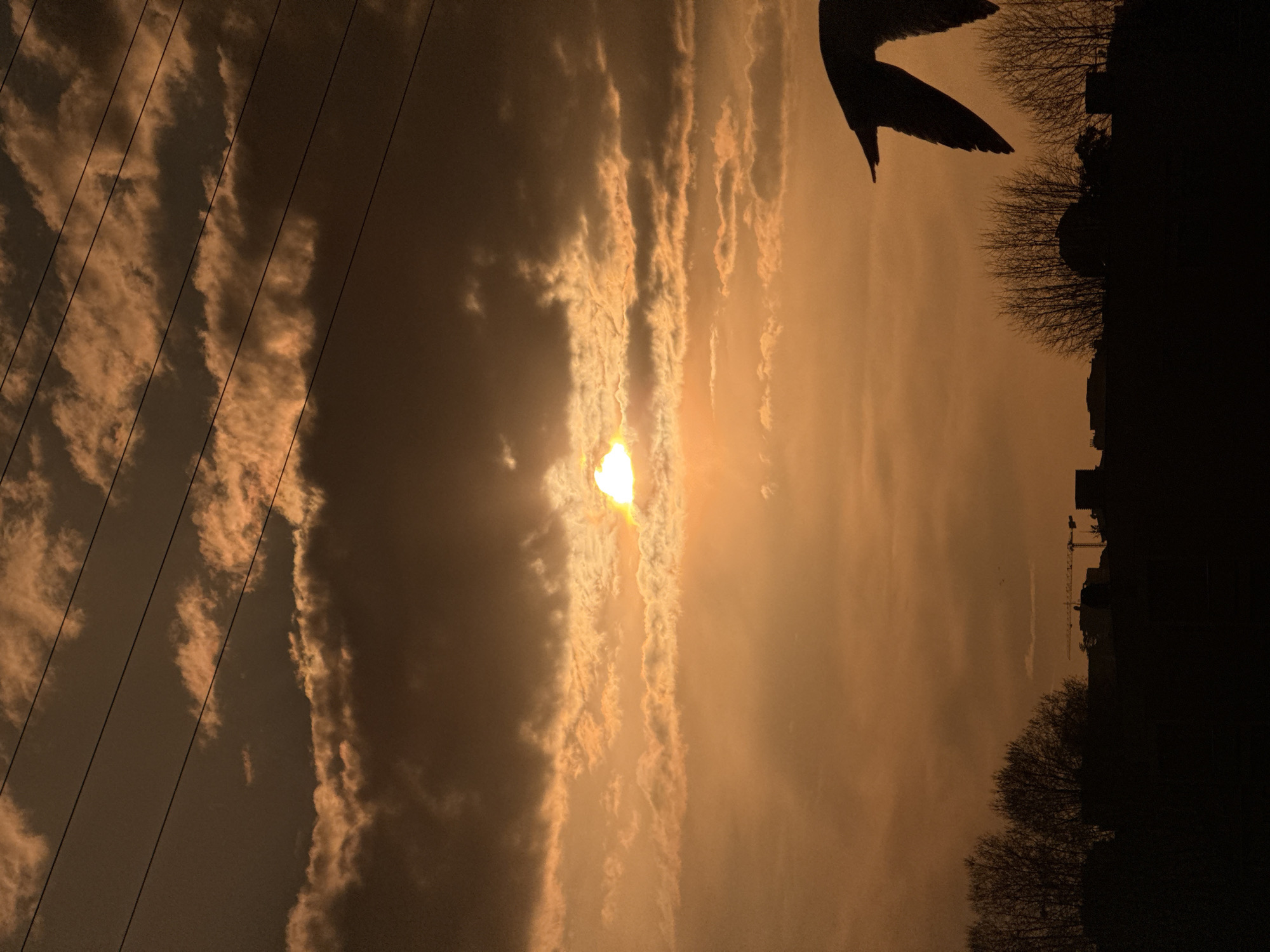 Sunset pigeons and dramatic skies observed in Vila Nova de Gaia