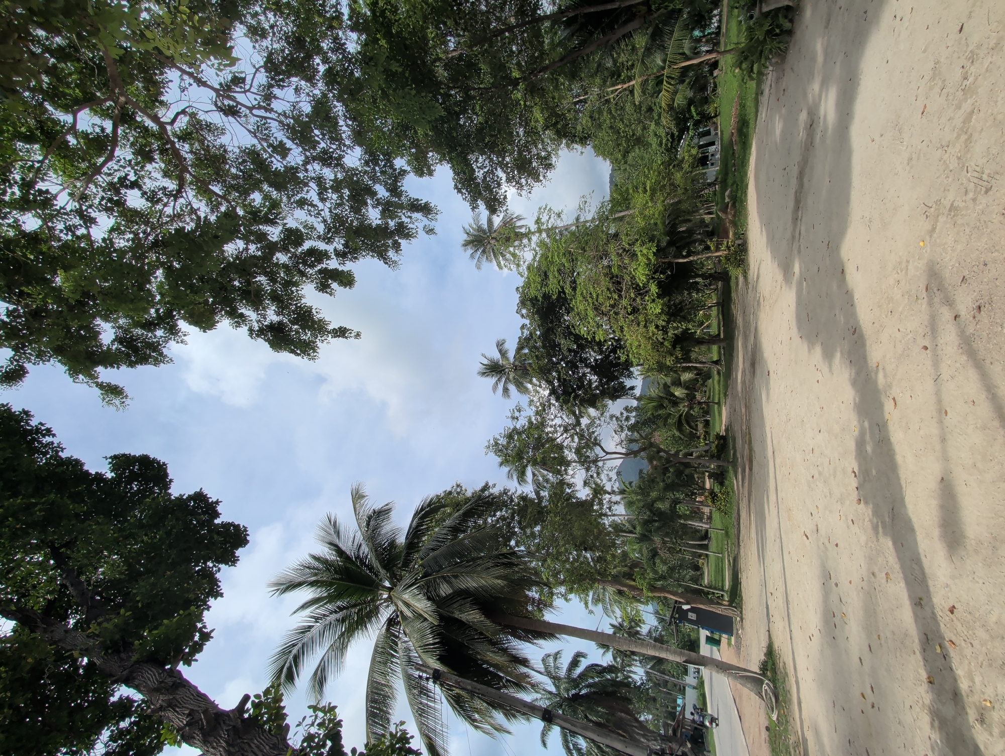 Tropical street scenes documented around Ko Pha-ngan, Thailand