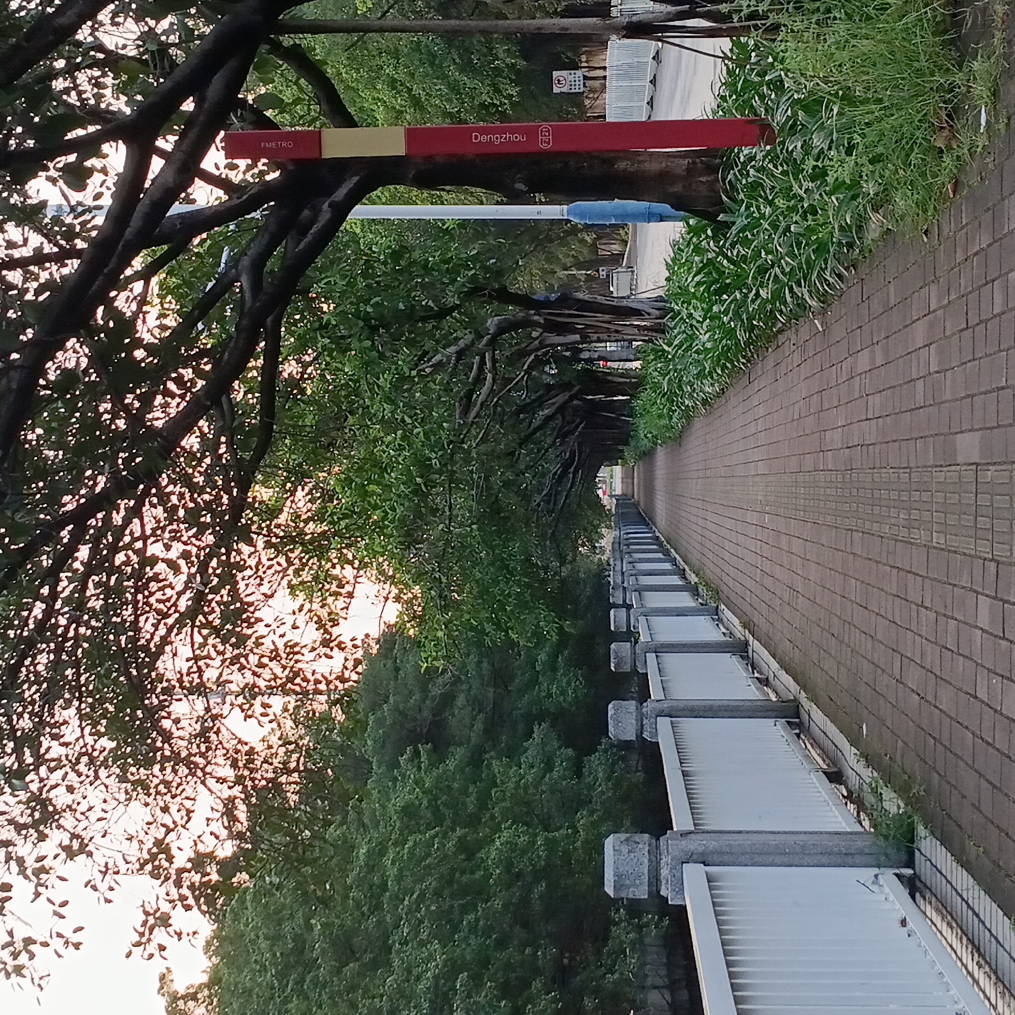 Sunset illuminates tree-lined streets across Shunde District