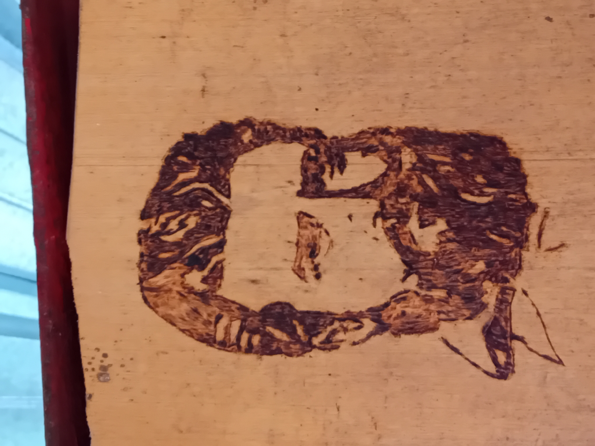 Elena resident captures burn mark, garden, museum artifacts