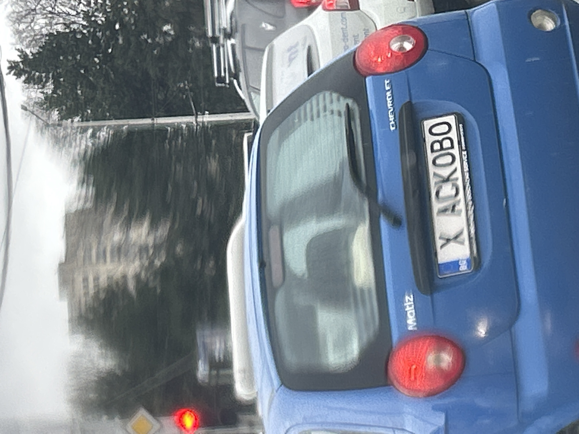 Sofia morning scenes: city traffic and mandarin ducks spotted