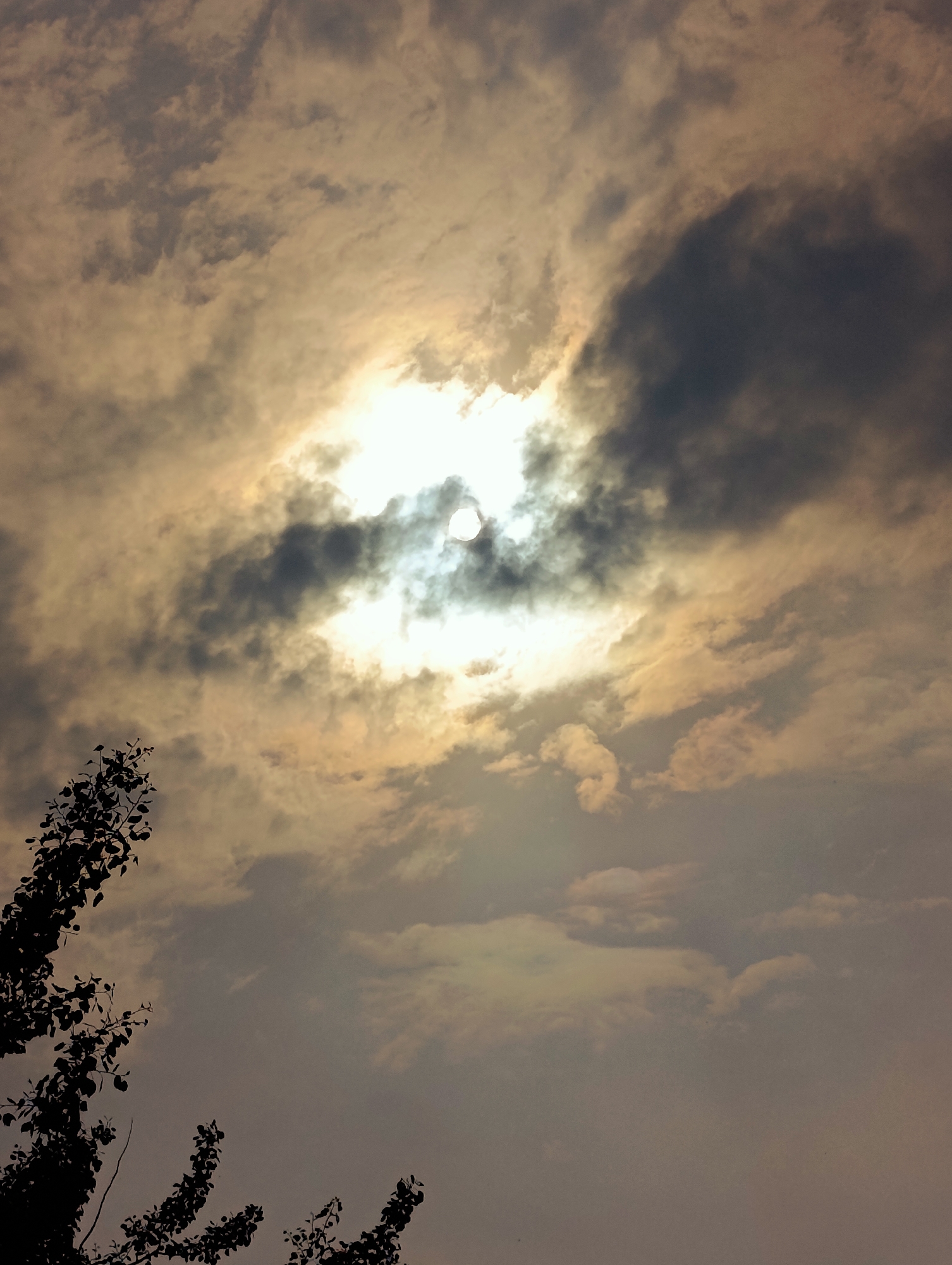 Backyard BBQ afternoon under a dramatic stormy sky