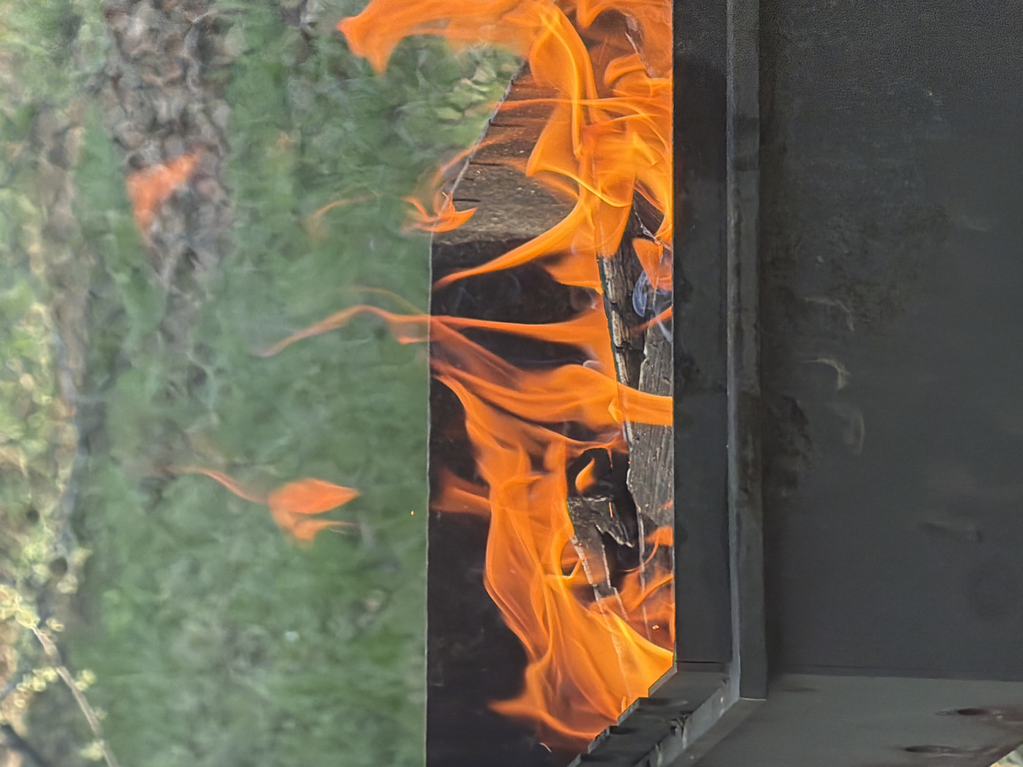 Family barbecue gathering documented in Meget, Russia backyard