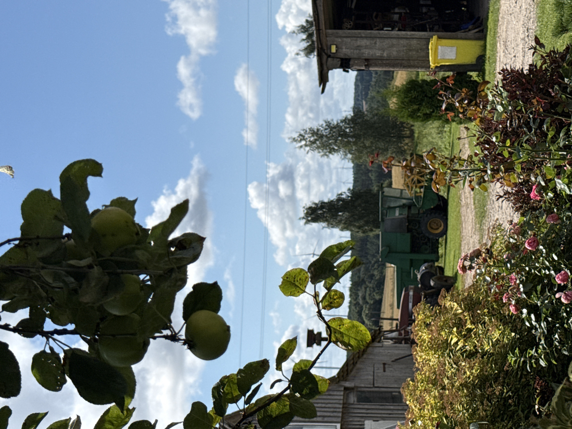 Quiet summer morning at a rural Lithuanian garden property