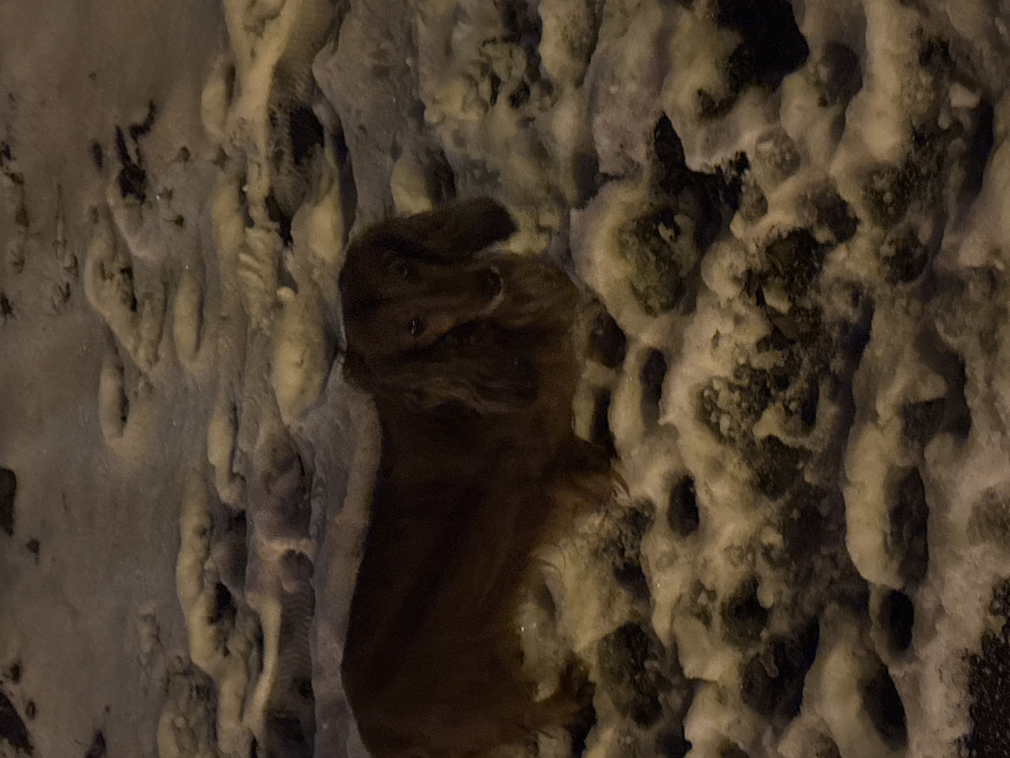 Evening winter walk documented through snowy Krasnoyarsk streets