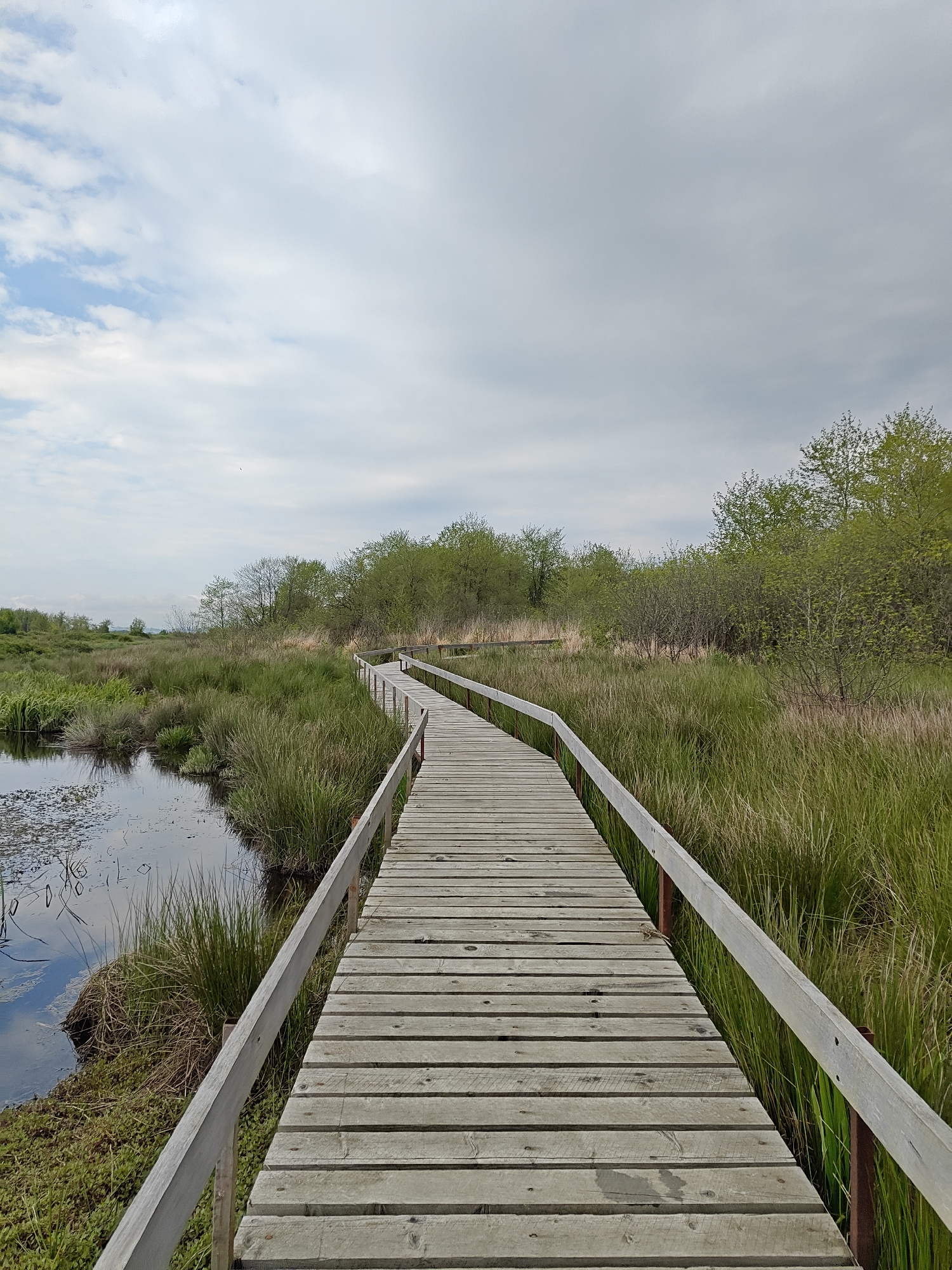 Visitor documents scenic wetland boardwalks in Kobuleti, Georgia