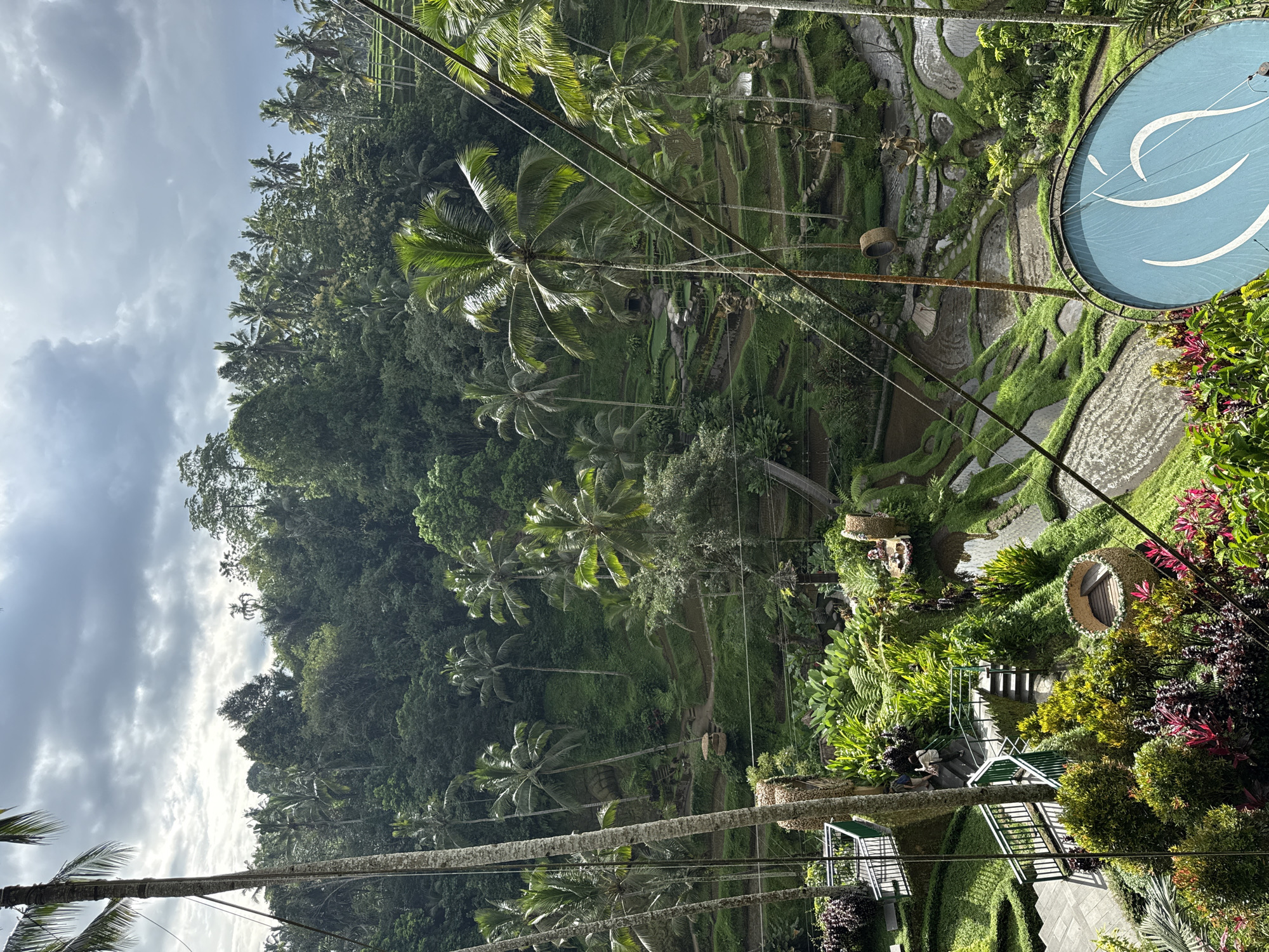 Tourist swings above Tegallalang rice terraces in red dress