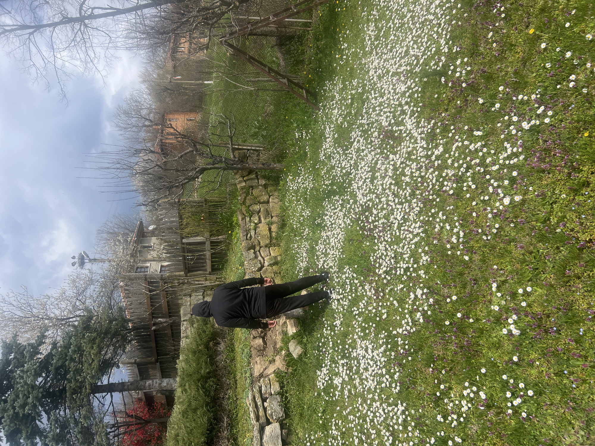 Person spotted in daisy field in rural Zaichari, Bulgaria