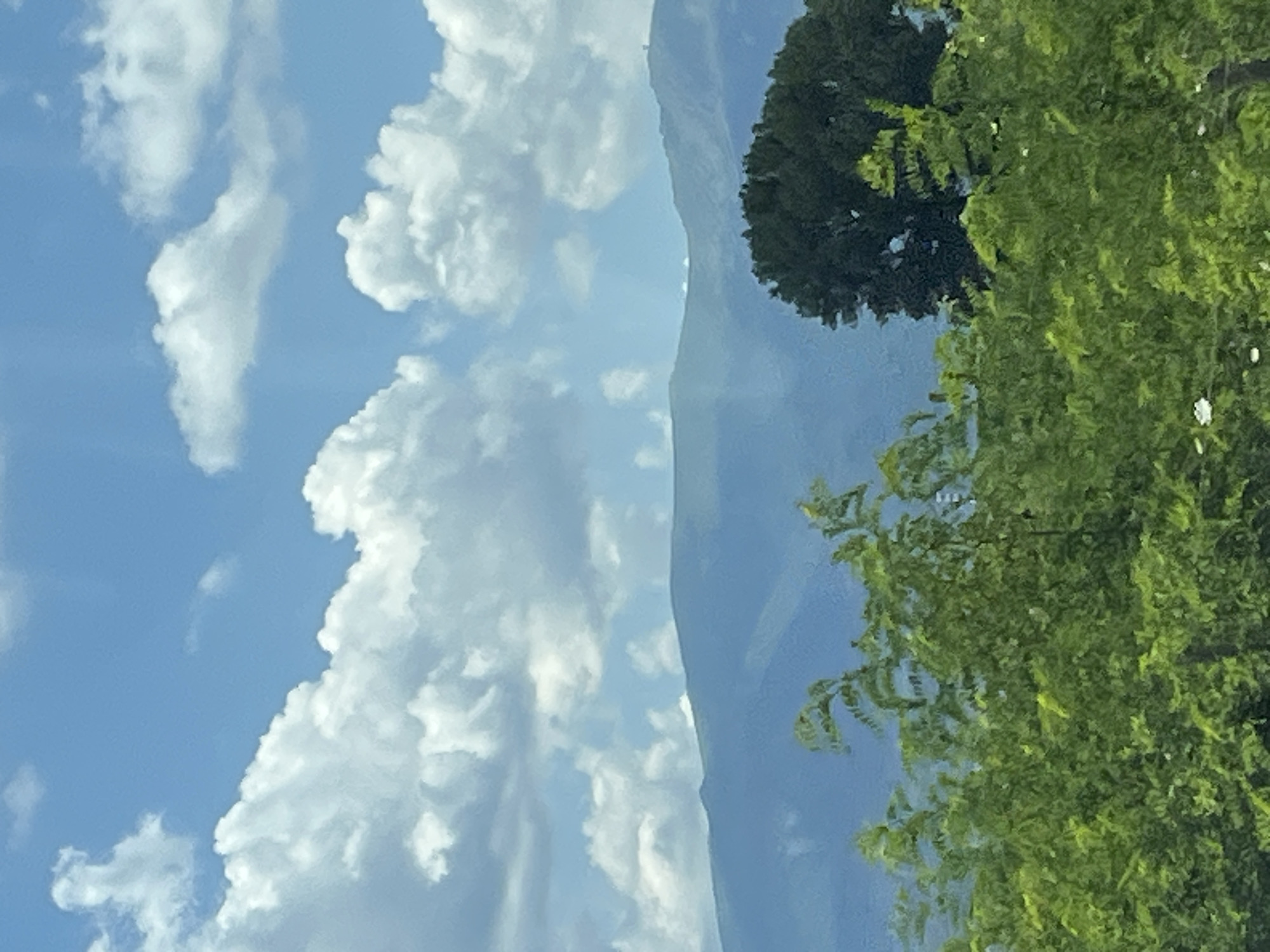 Driving through open farmland under wide summer skies
