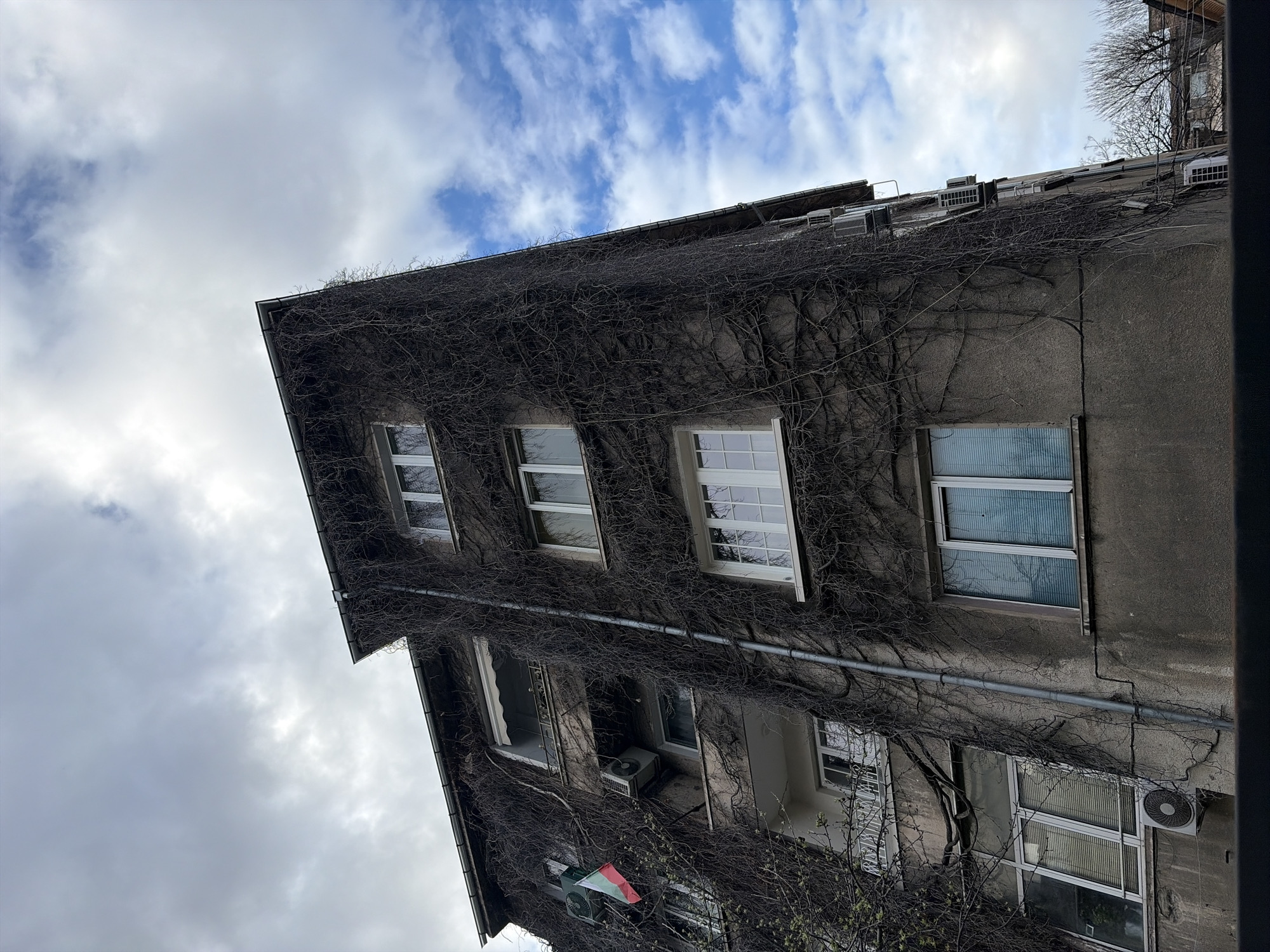 Sofia resident documents ordinary afternoon moments across Bulgarian capital