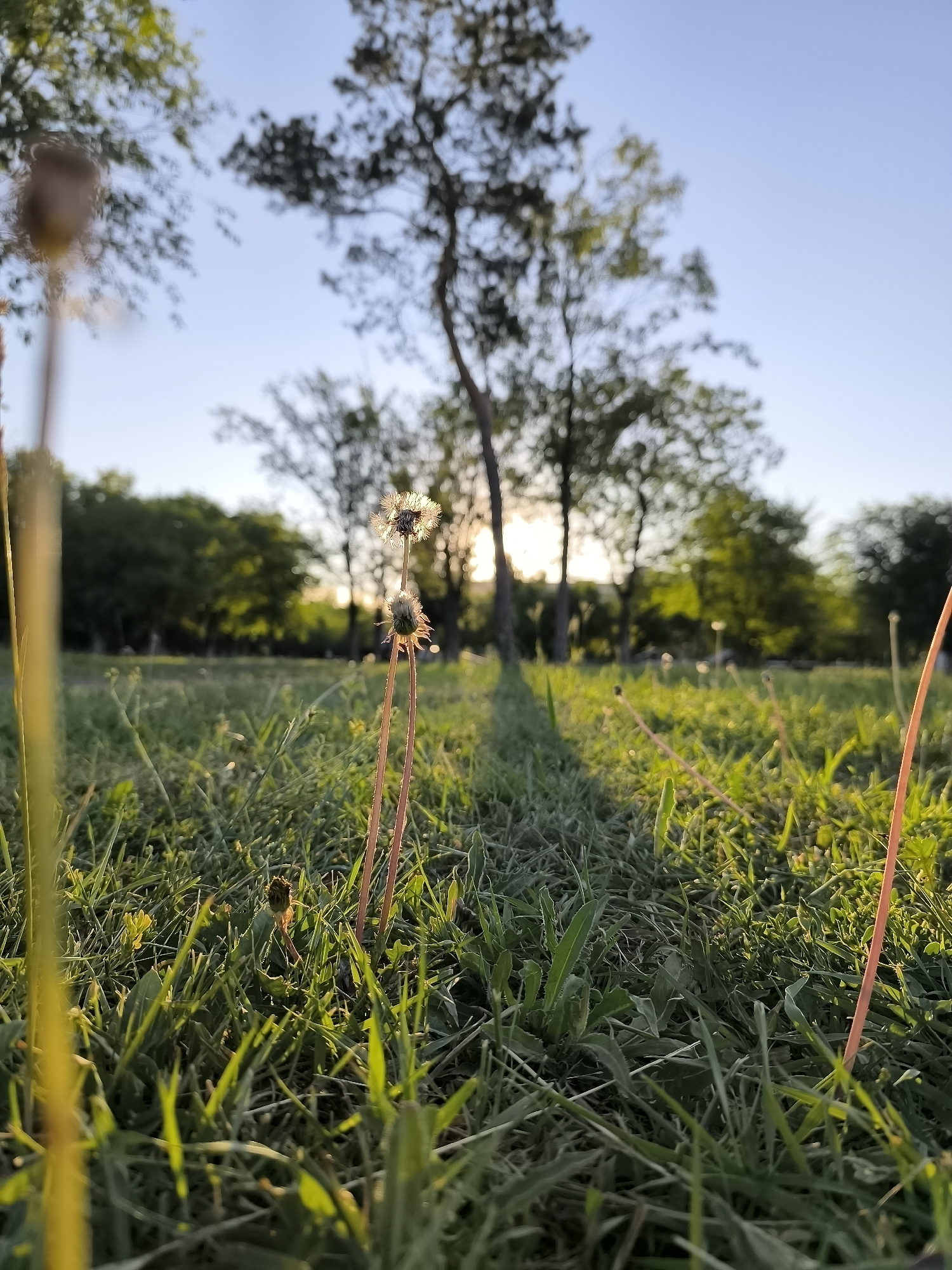 Man documents outdoor recreation session across Qarağandı parks and facilities