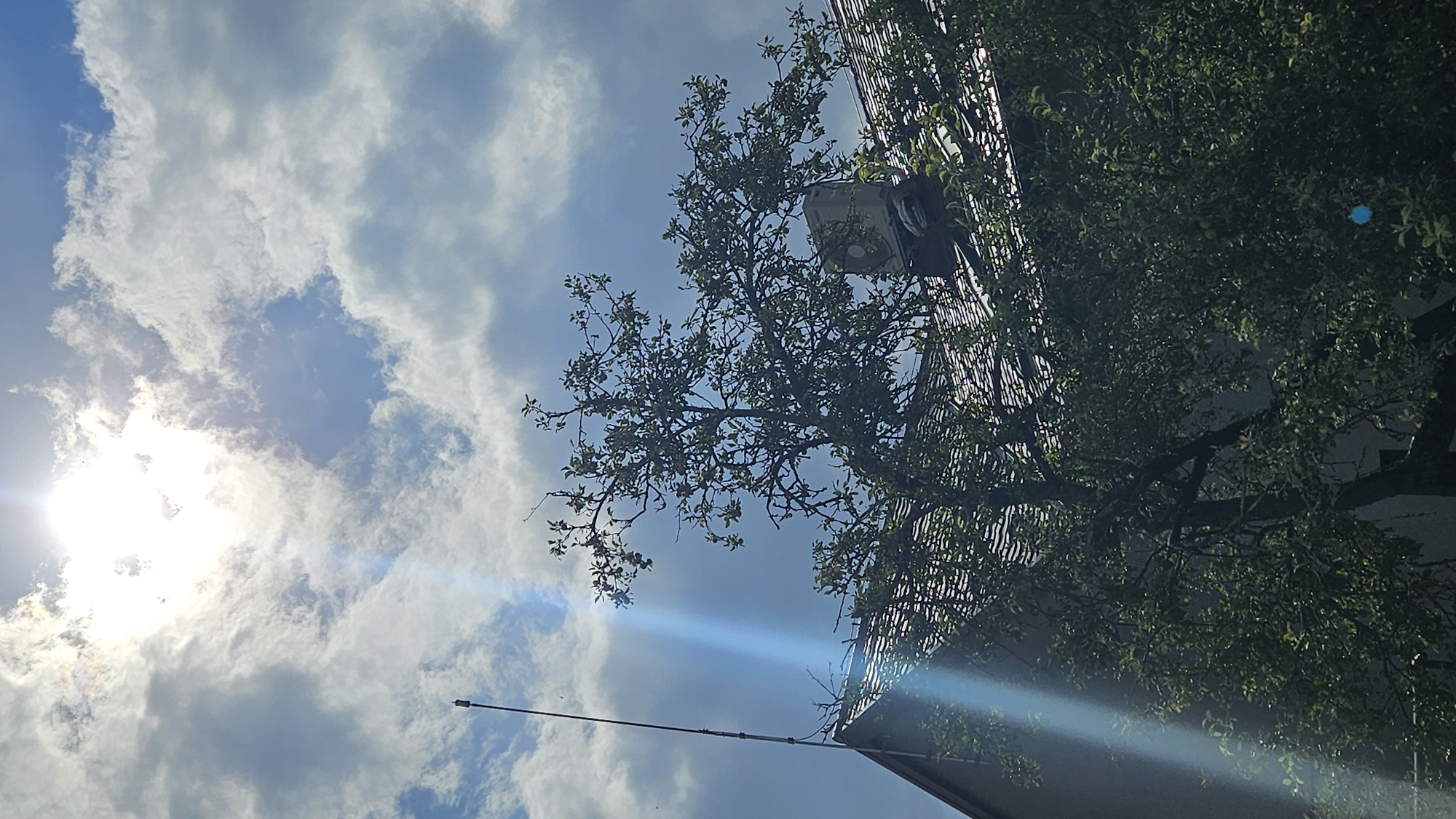 Morning along Prešov's riverside paths and neighborhoods