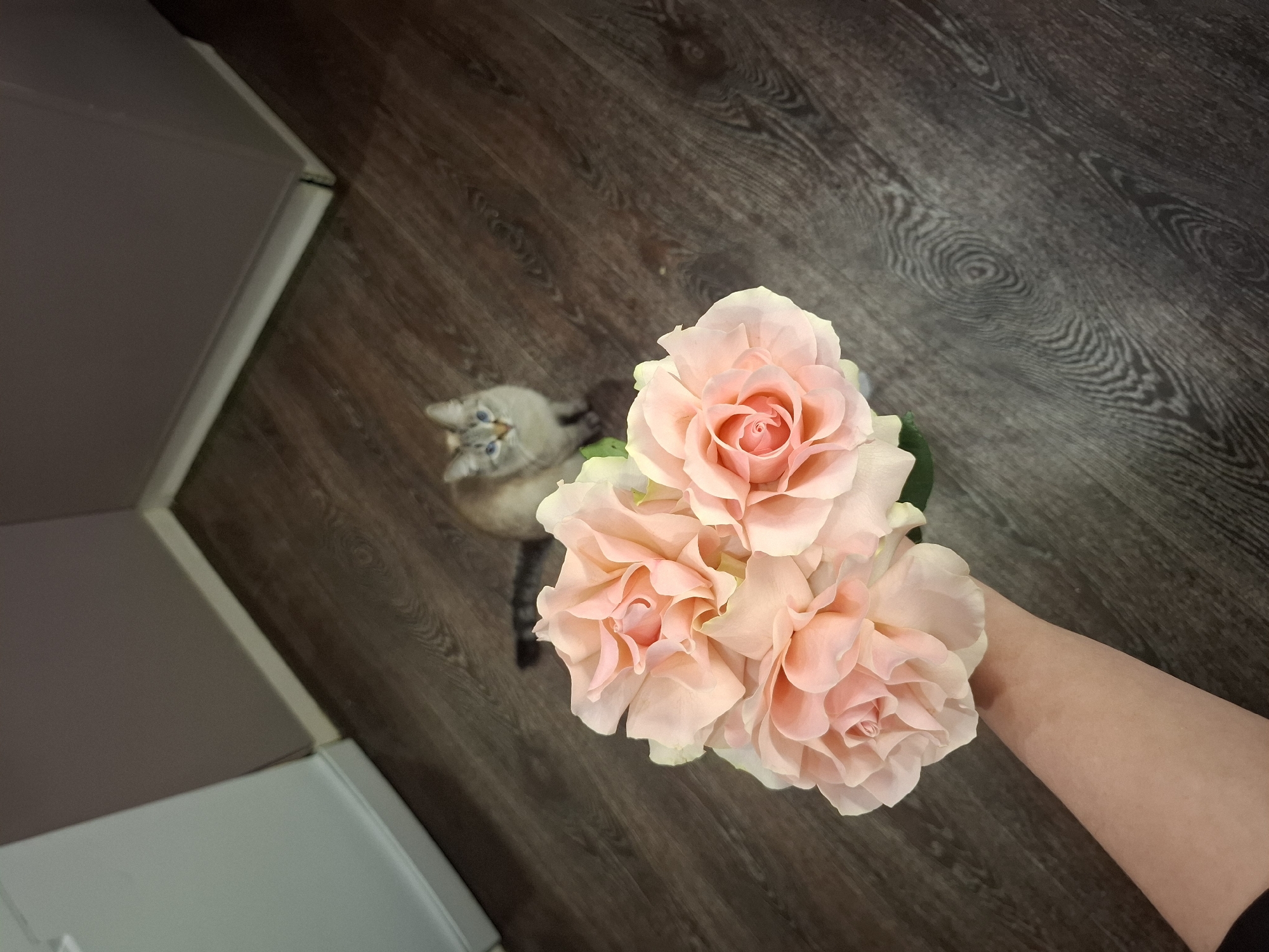 Person holds pink rose bouquet indoors in Irkutsk