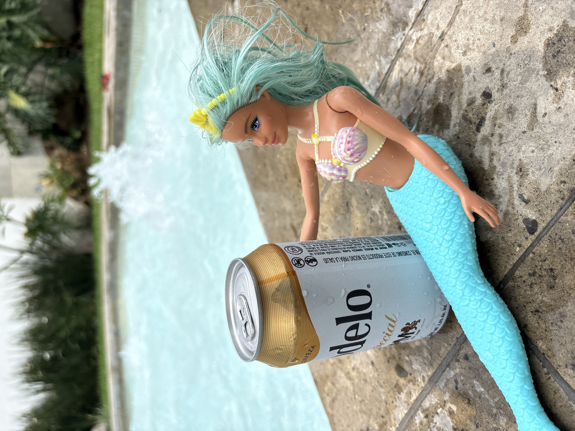 Everyday moments documented in Tres de Mayo: mermaid doll, relaxing dog